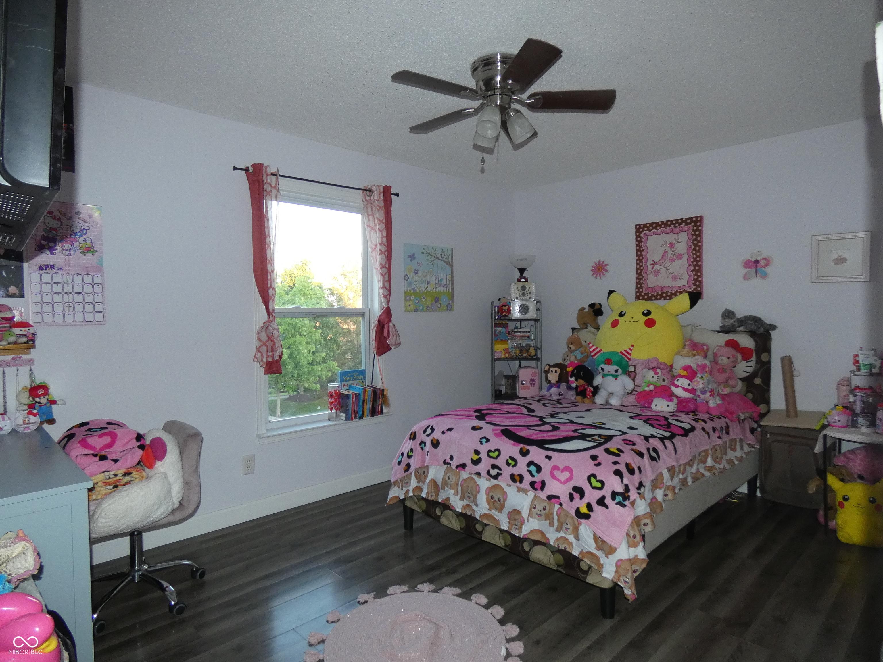 Photo #19