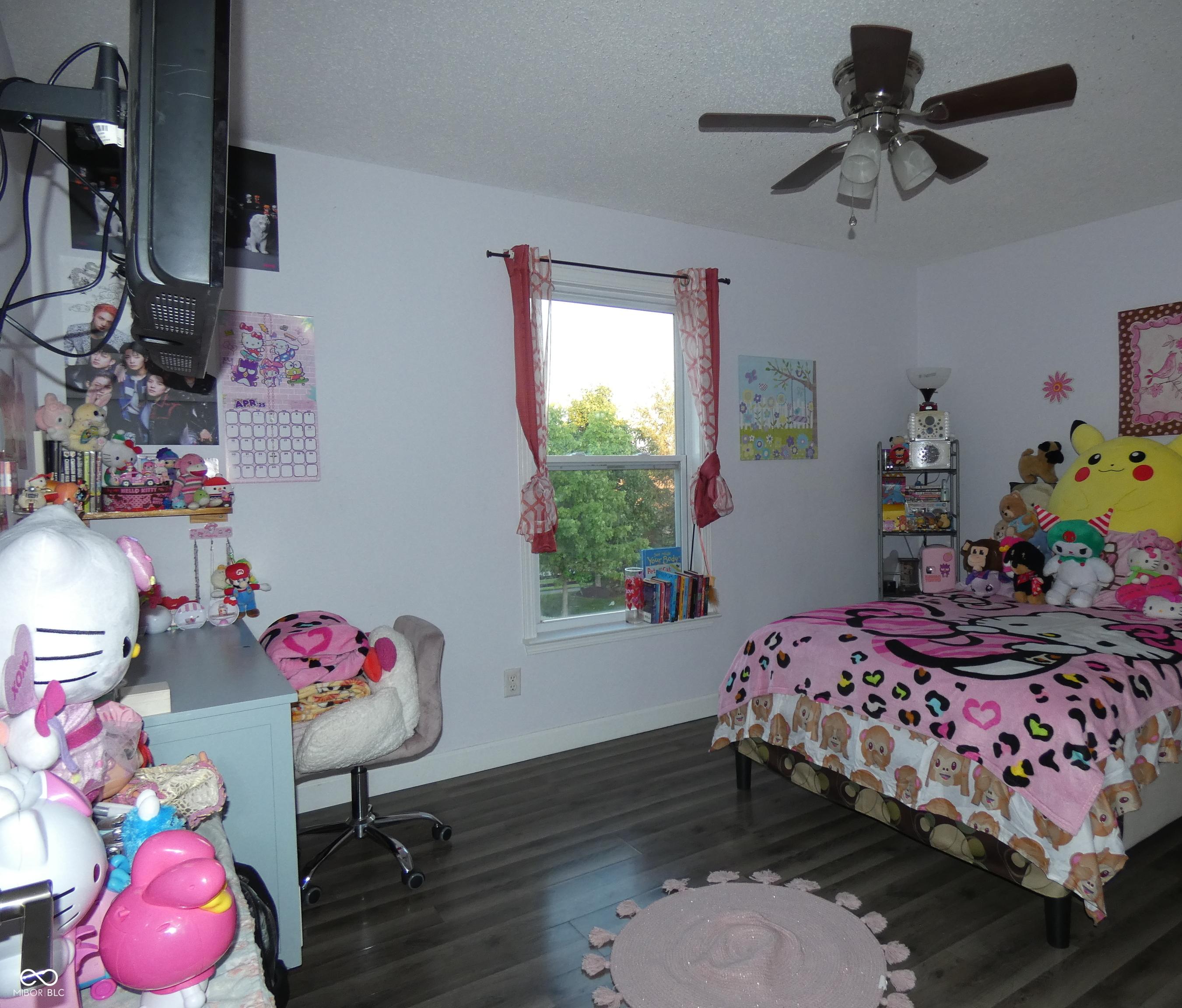 Photo #17