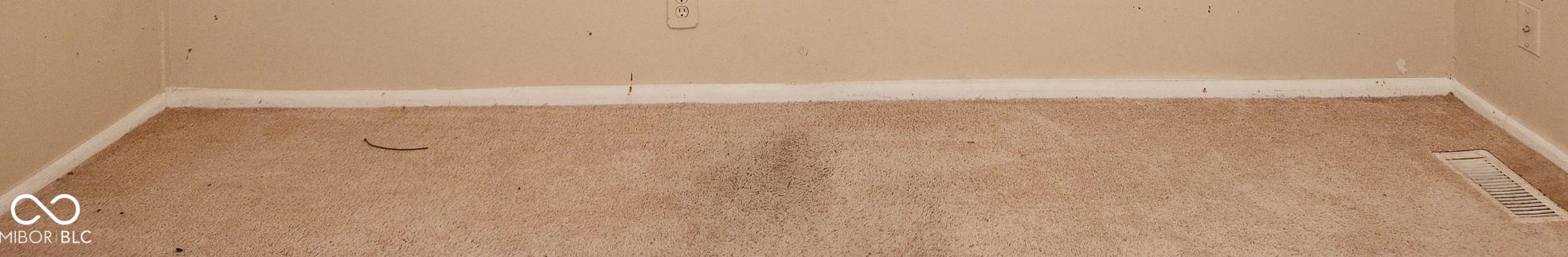 Photo #24