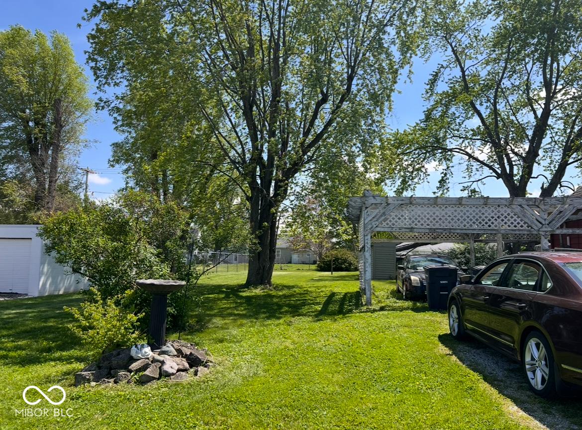 Photo #4