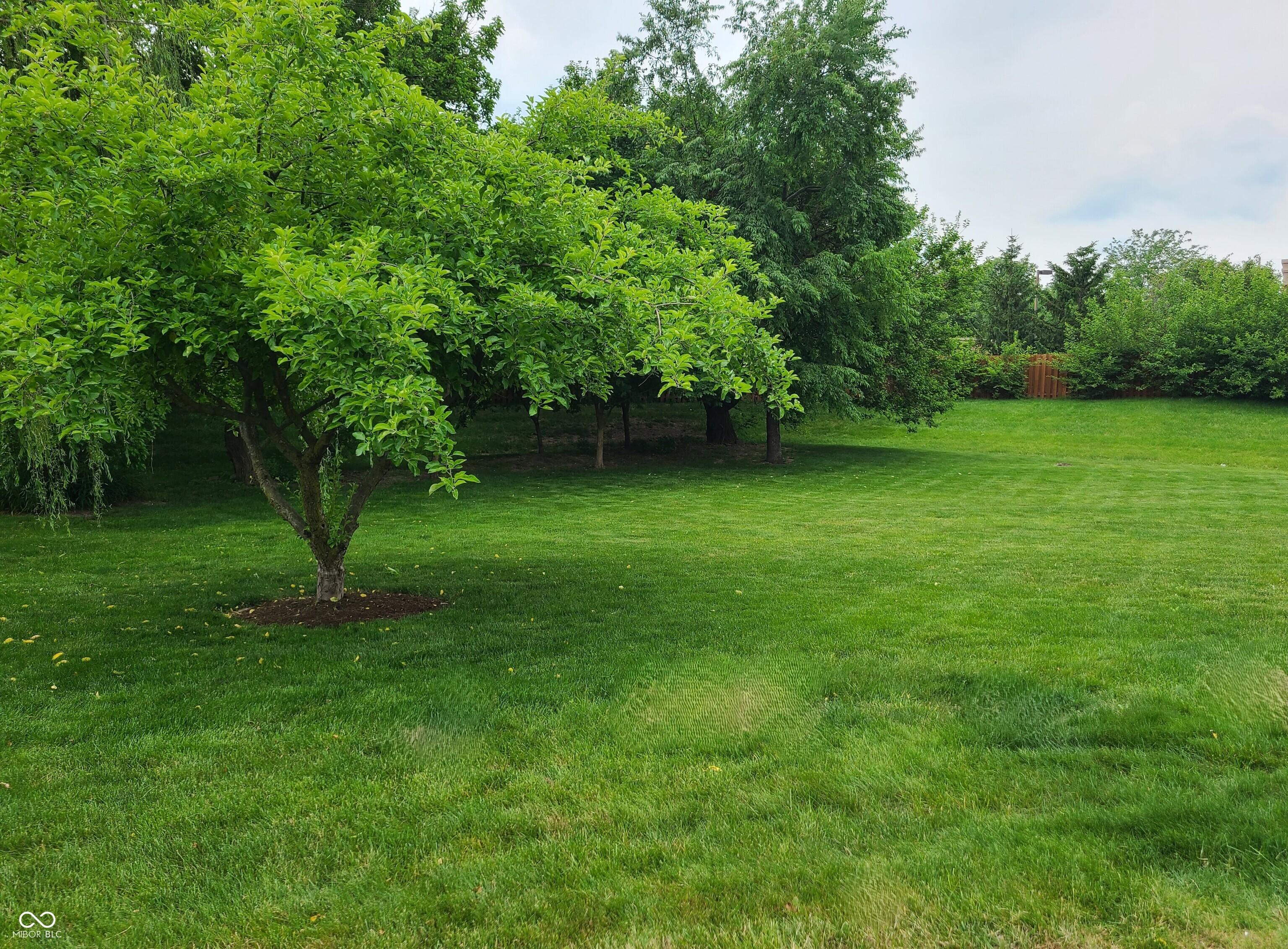 Photo #49