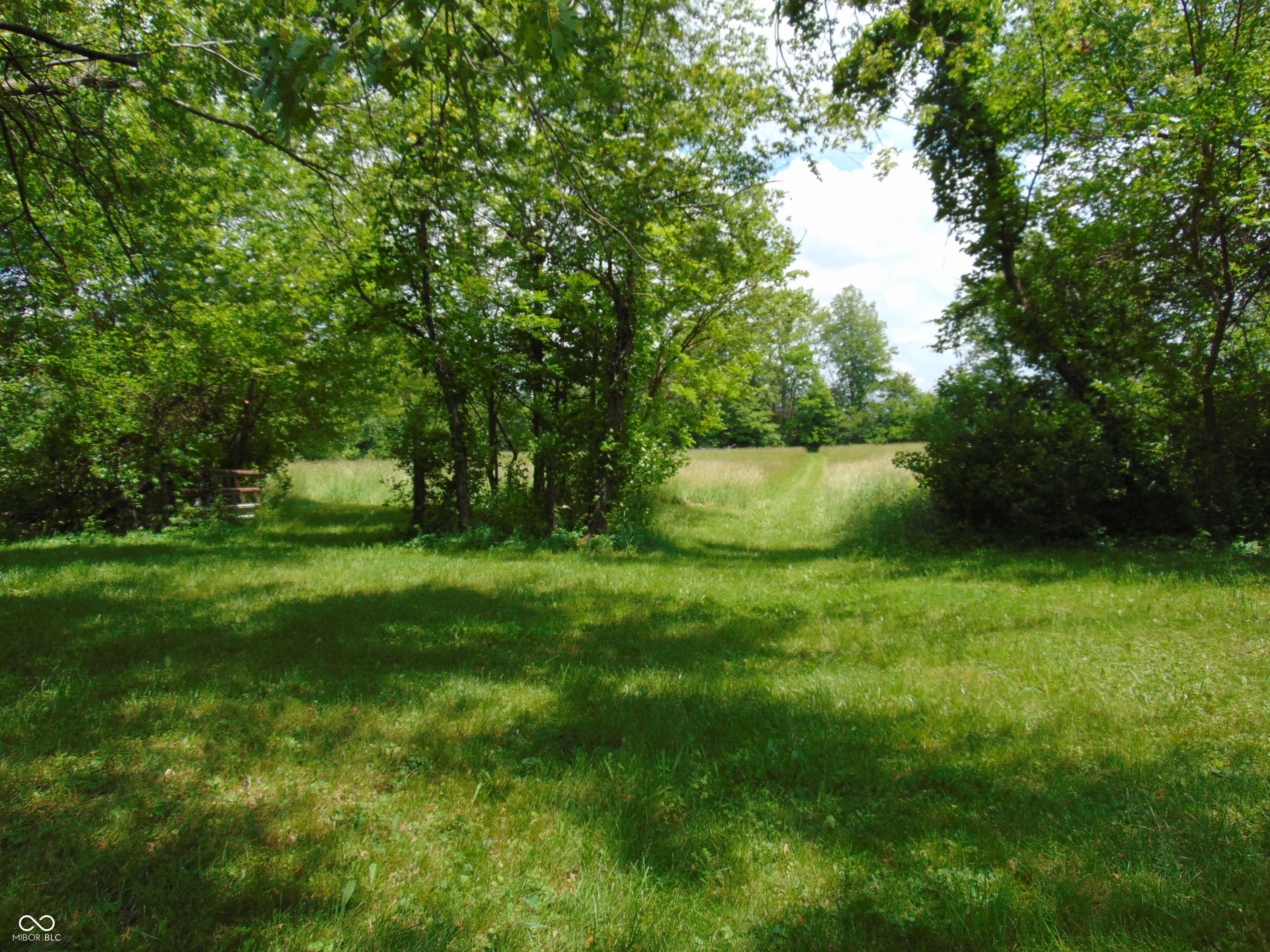 Photo #3