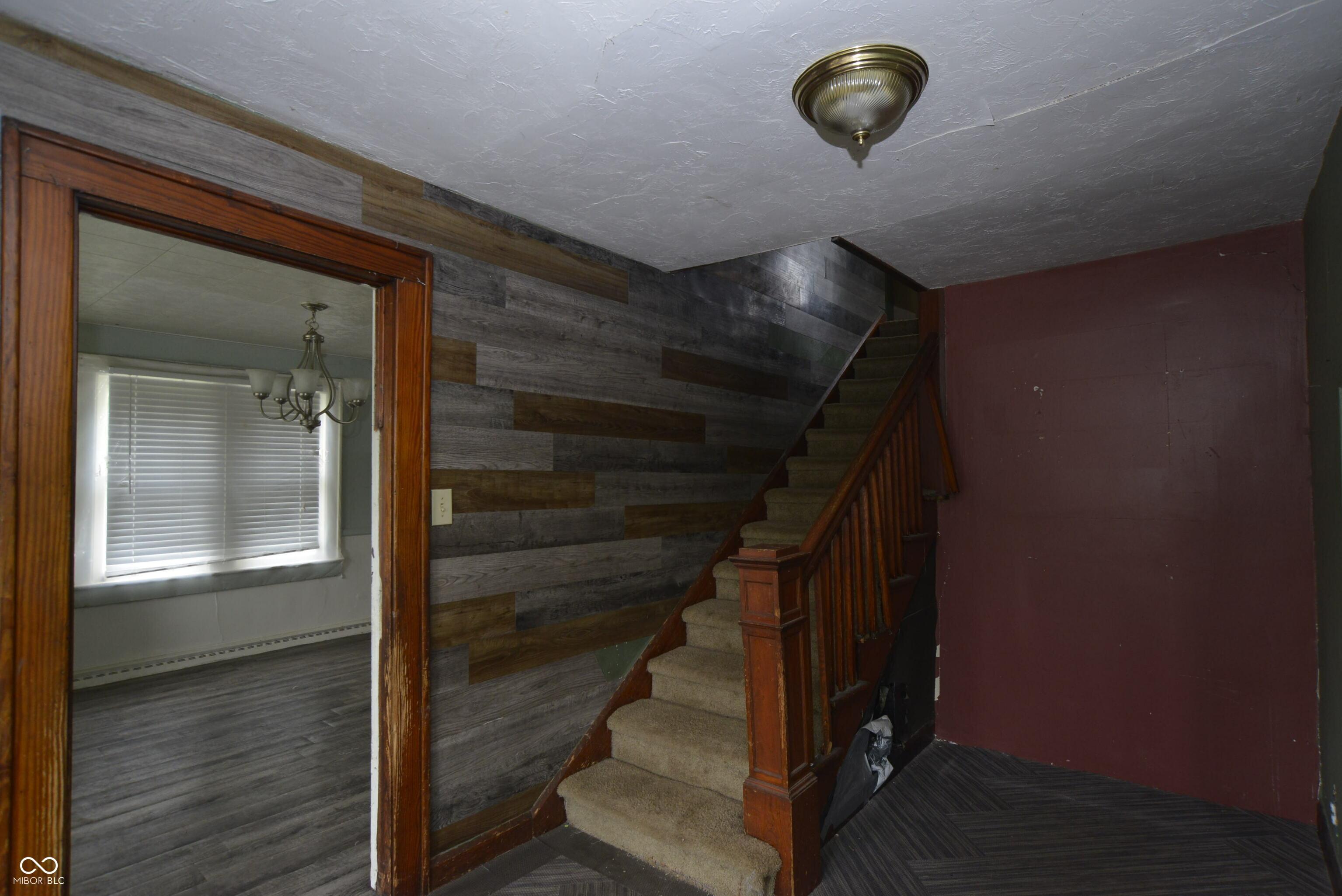 Photo #18