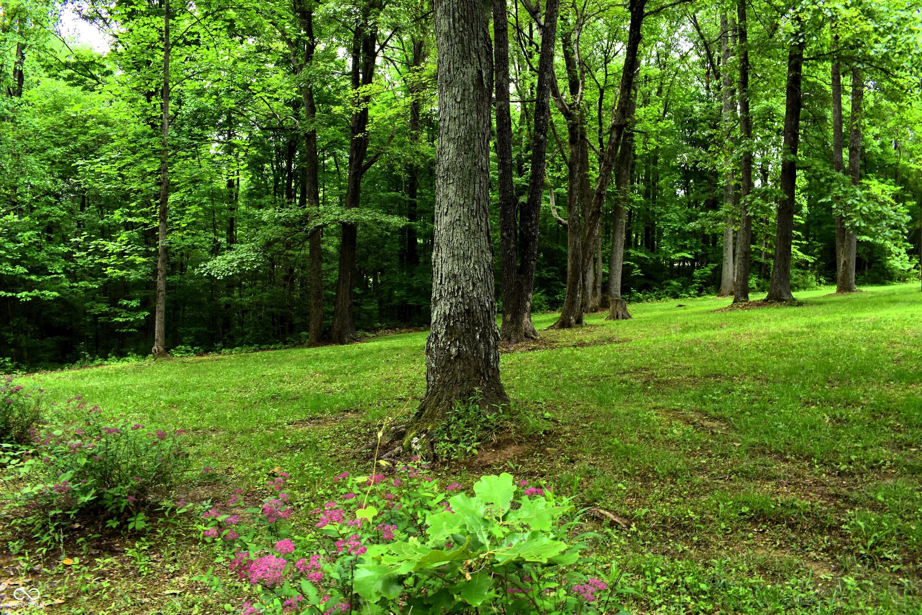 Photo #39