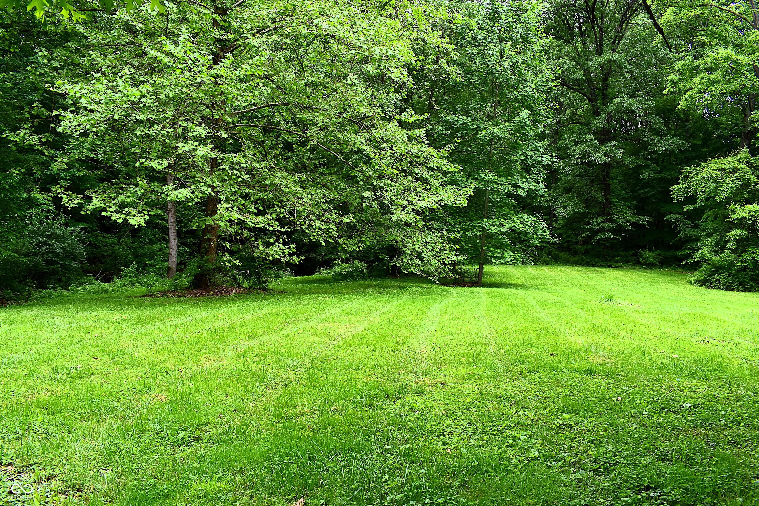 Photo #36