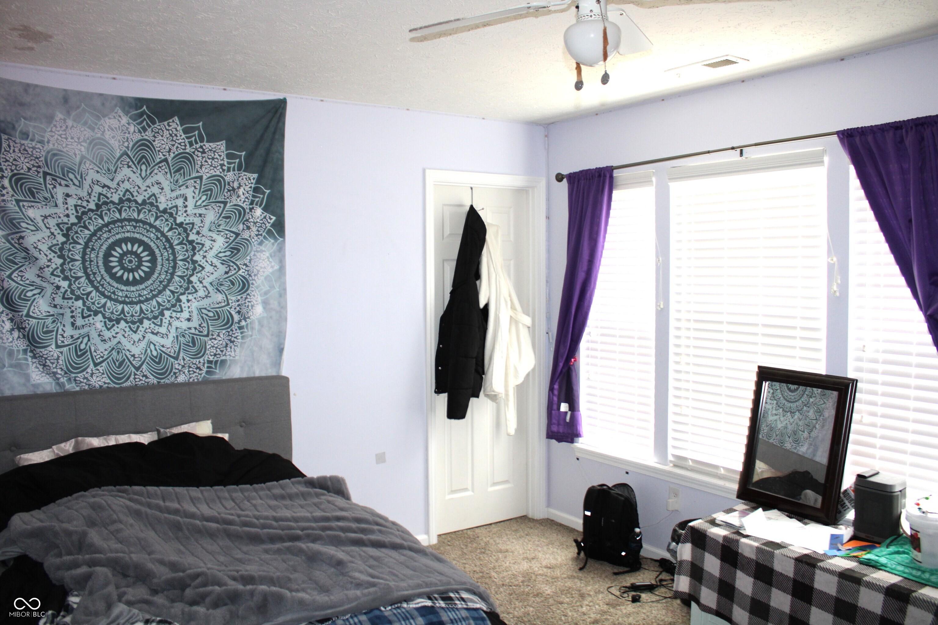 Photo #19