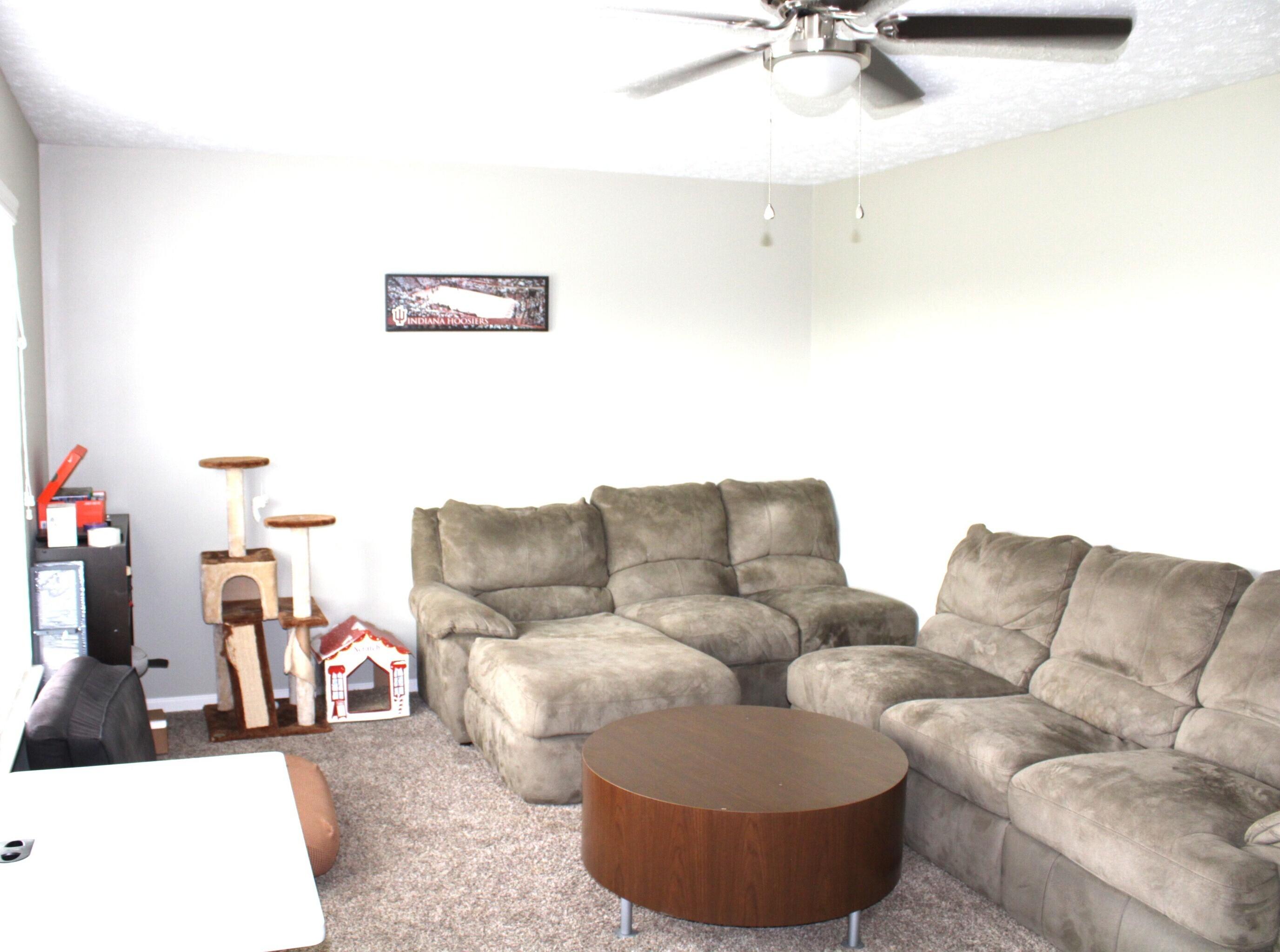 Photo #18