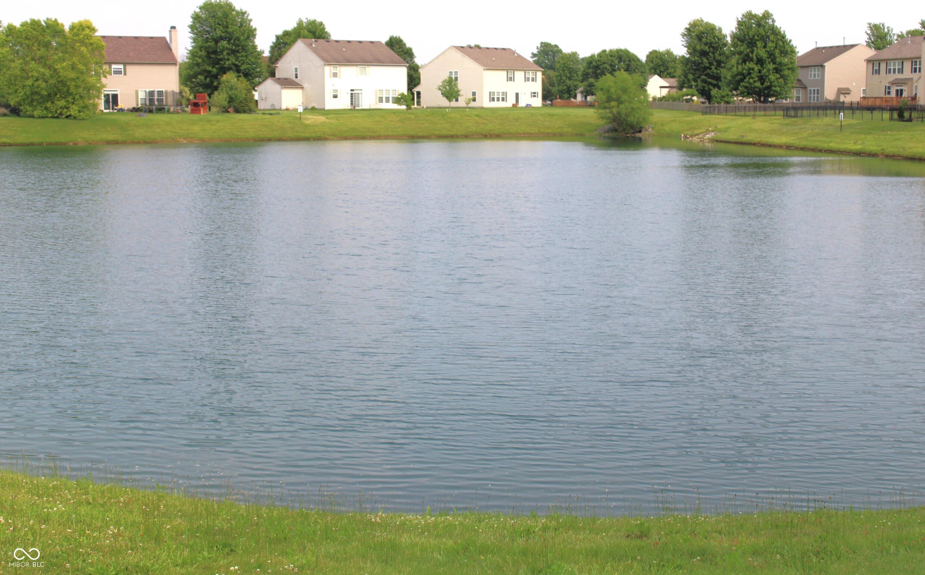 Photo #29