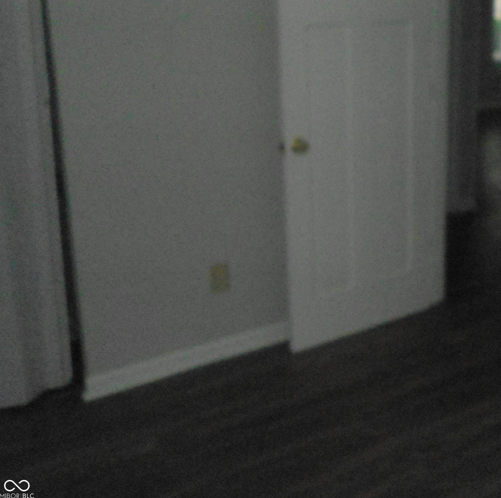 Photo #7