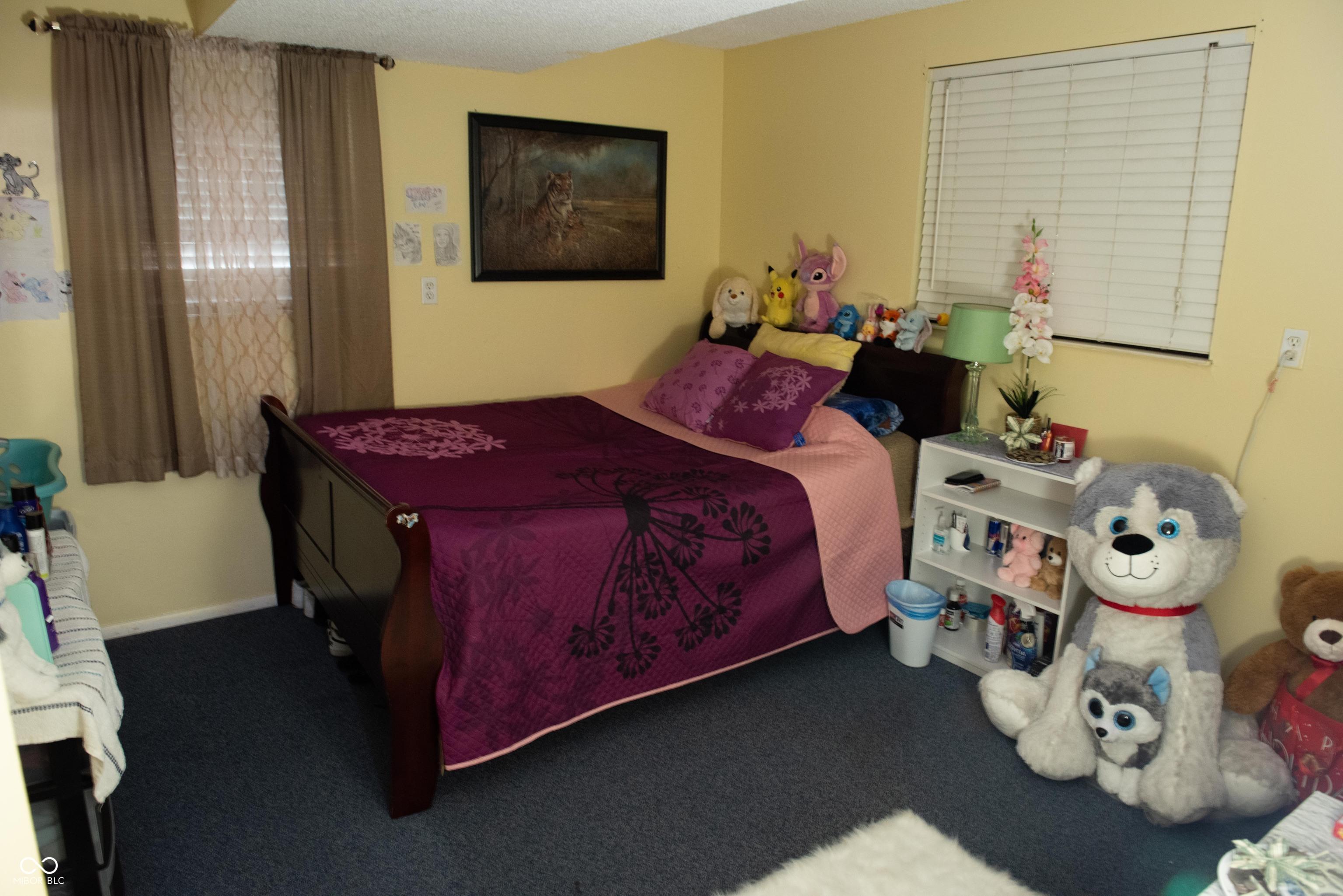 Photo #10