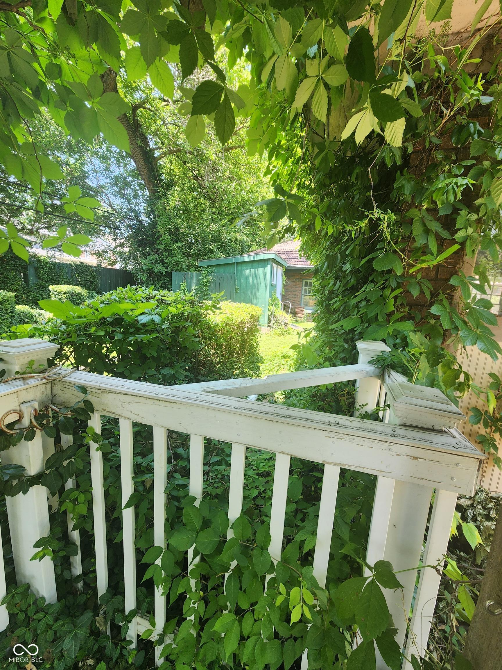 Photo #3