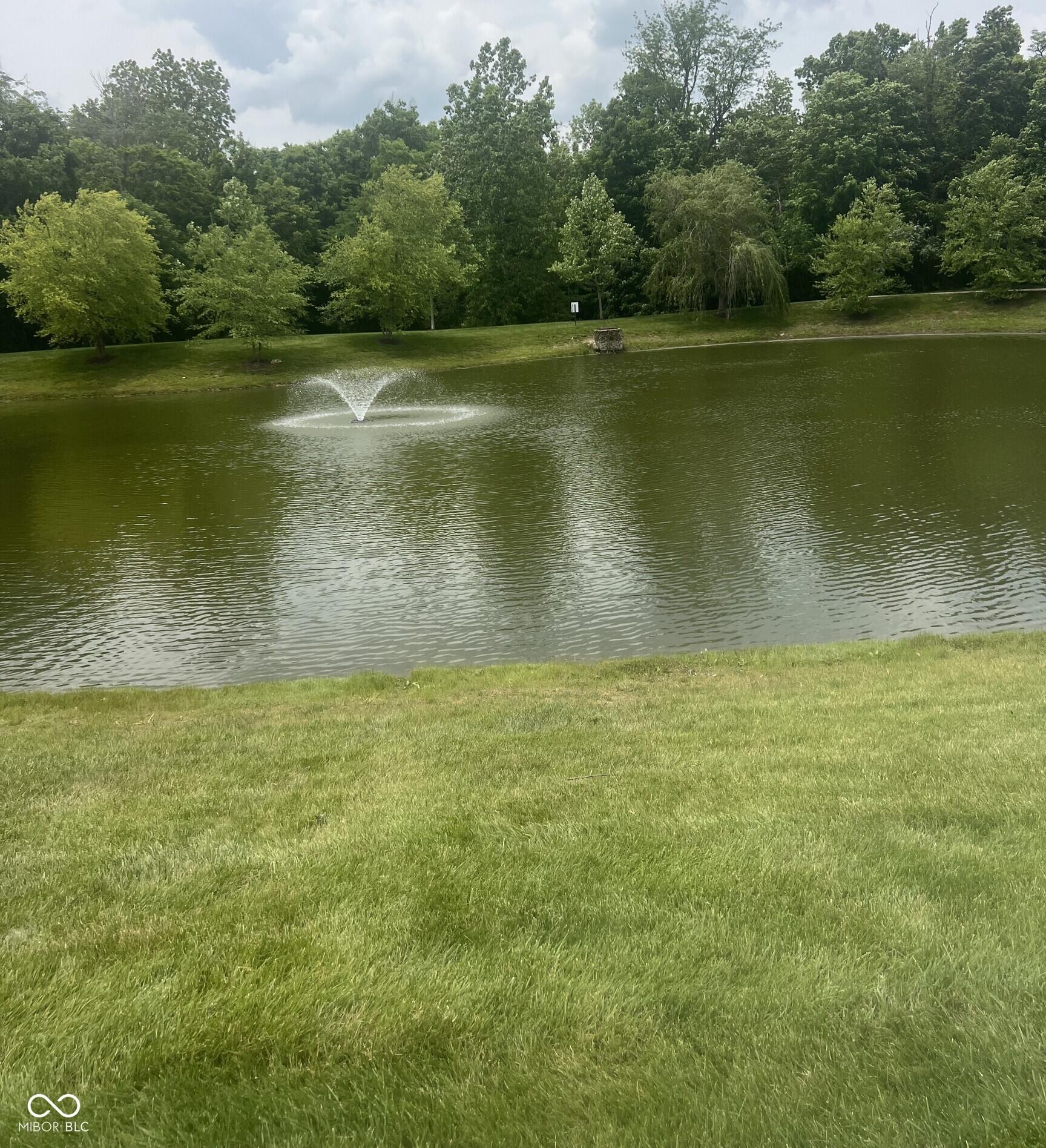 Photo #45