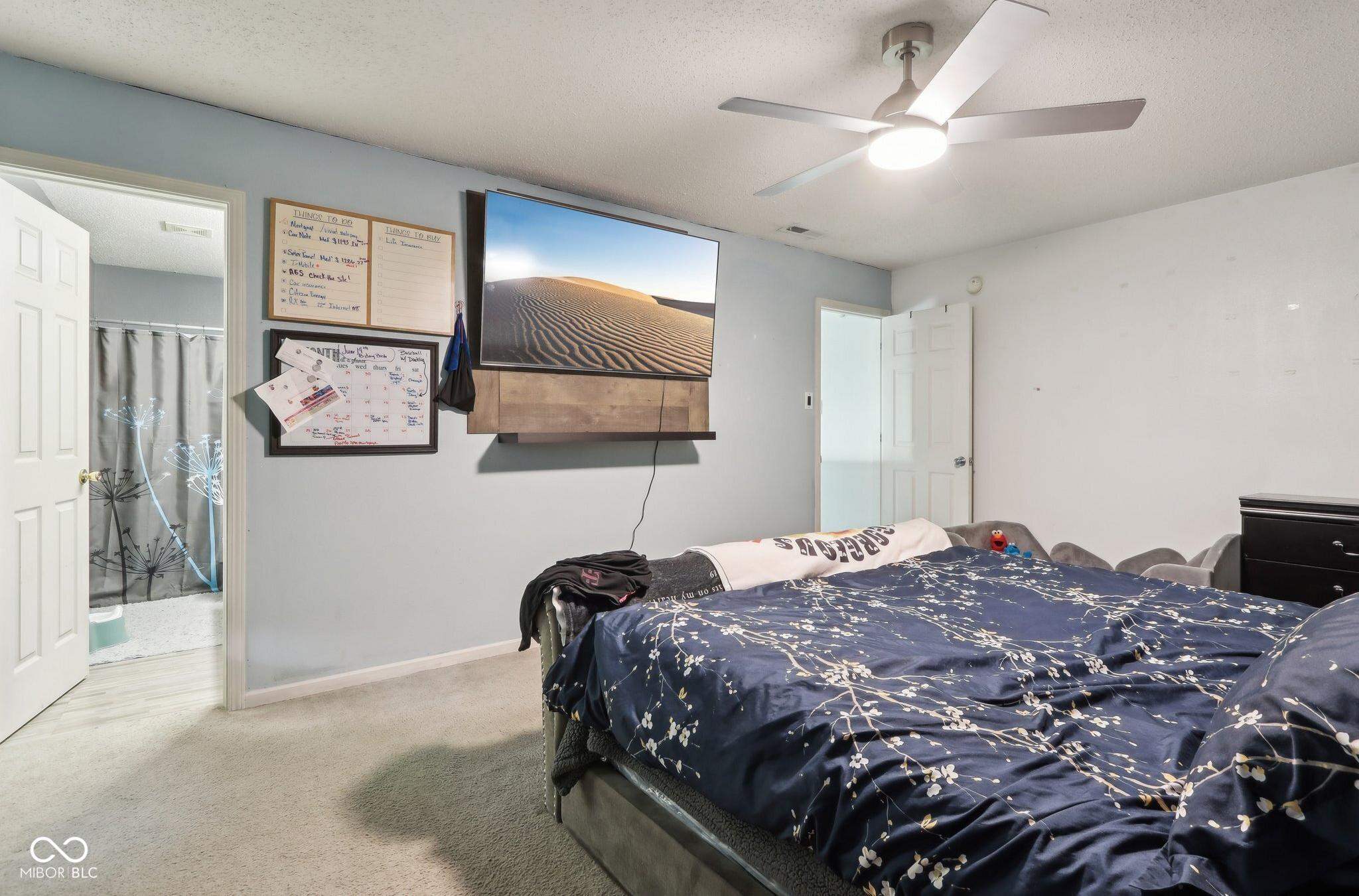 Photo #13