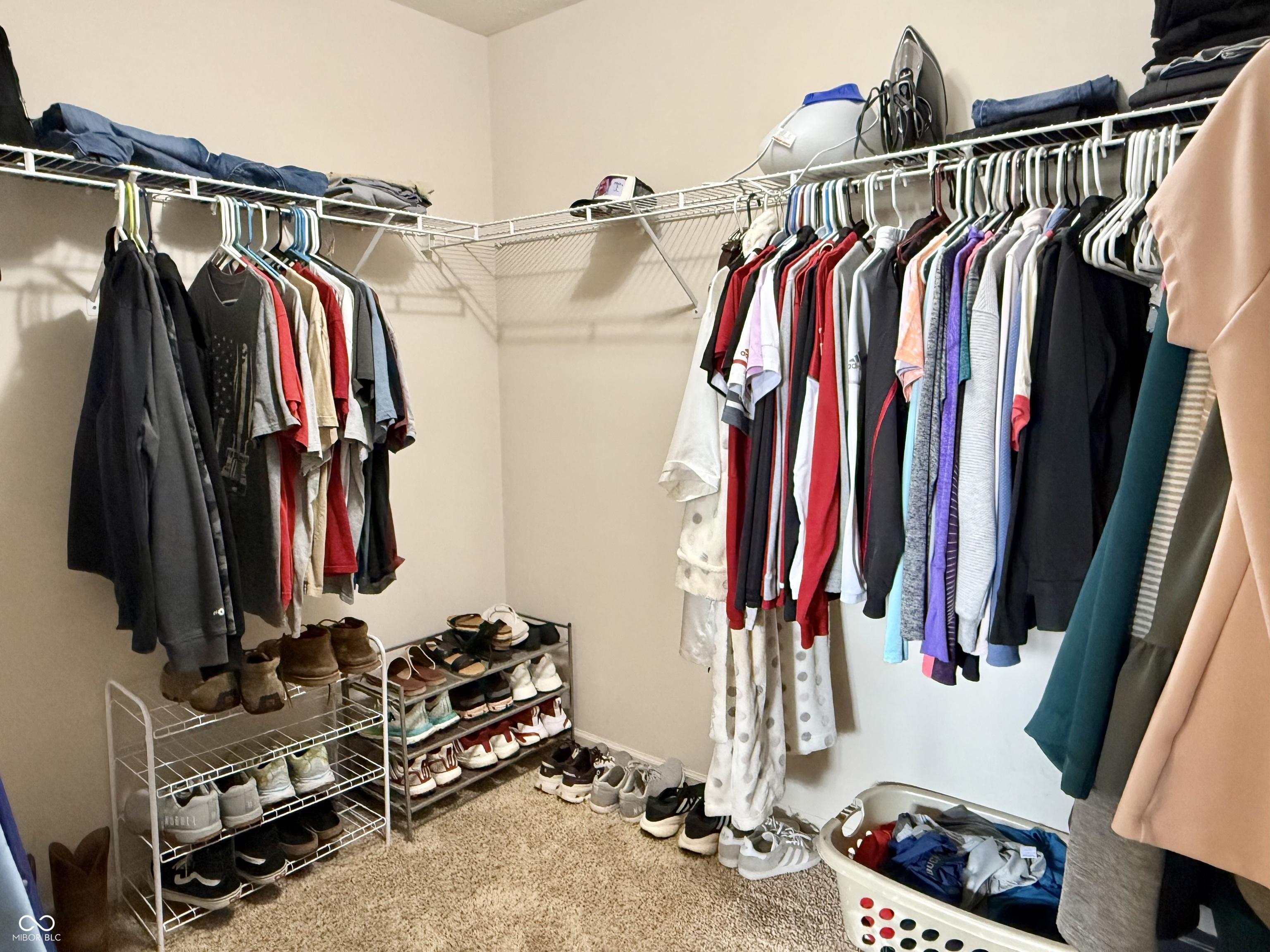 Photo #19