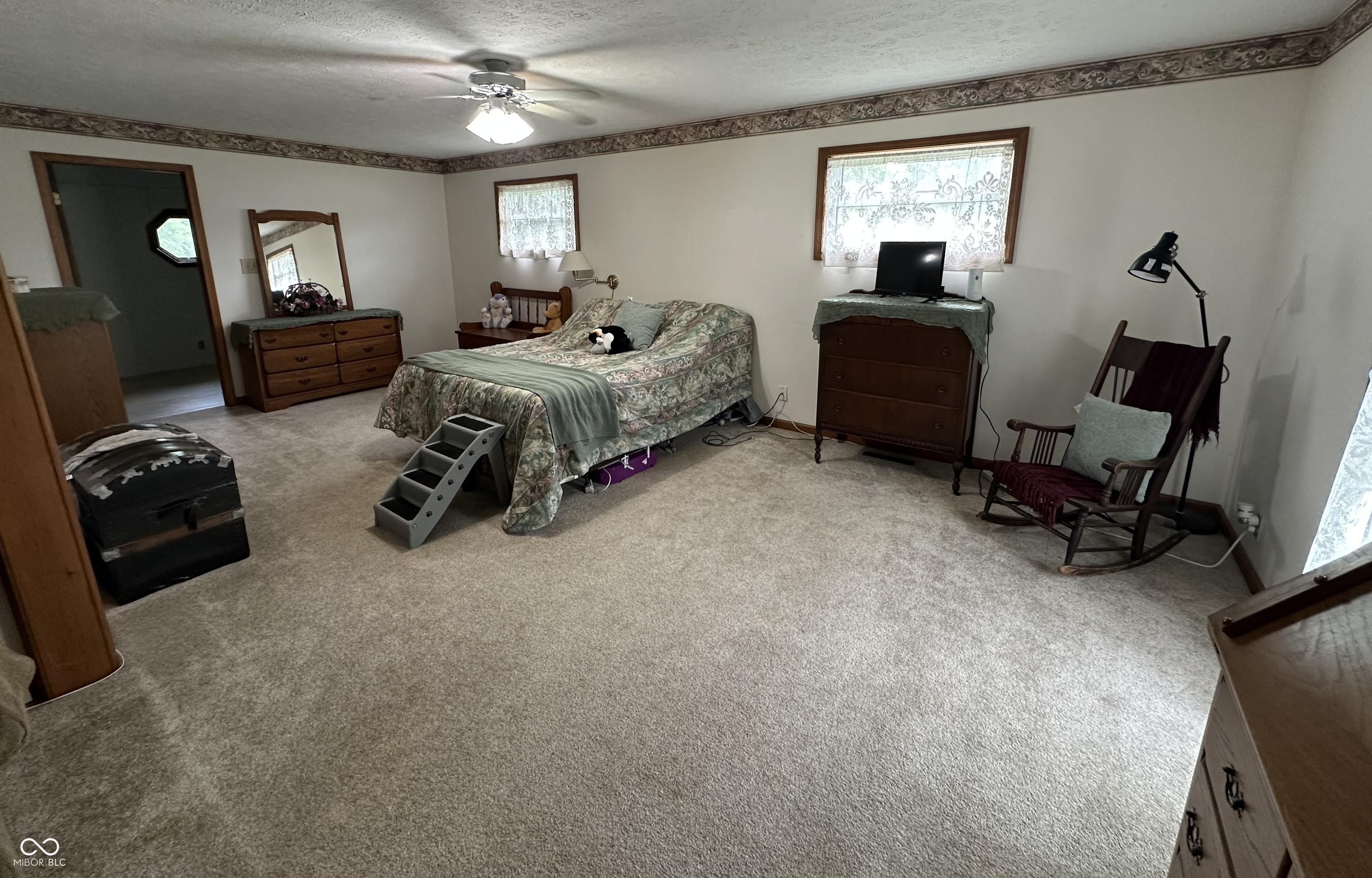 Photo #27