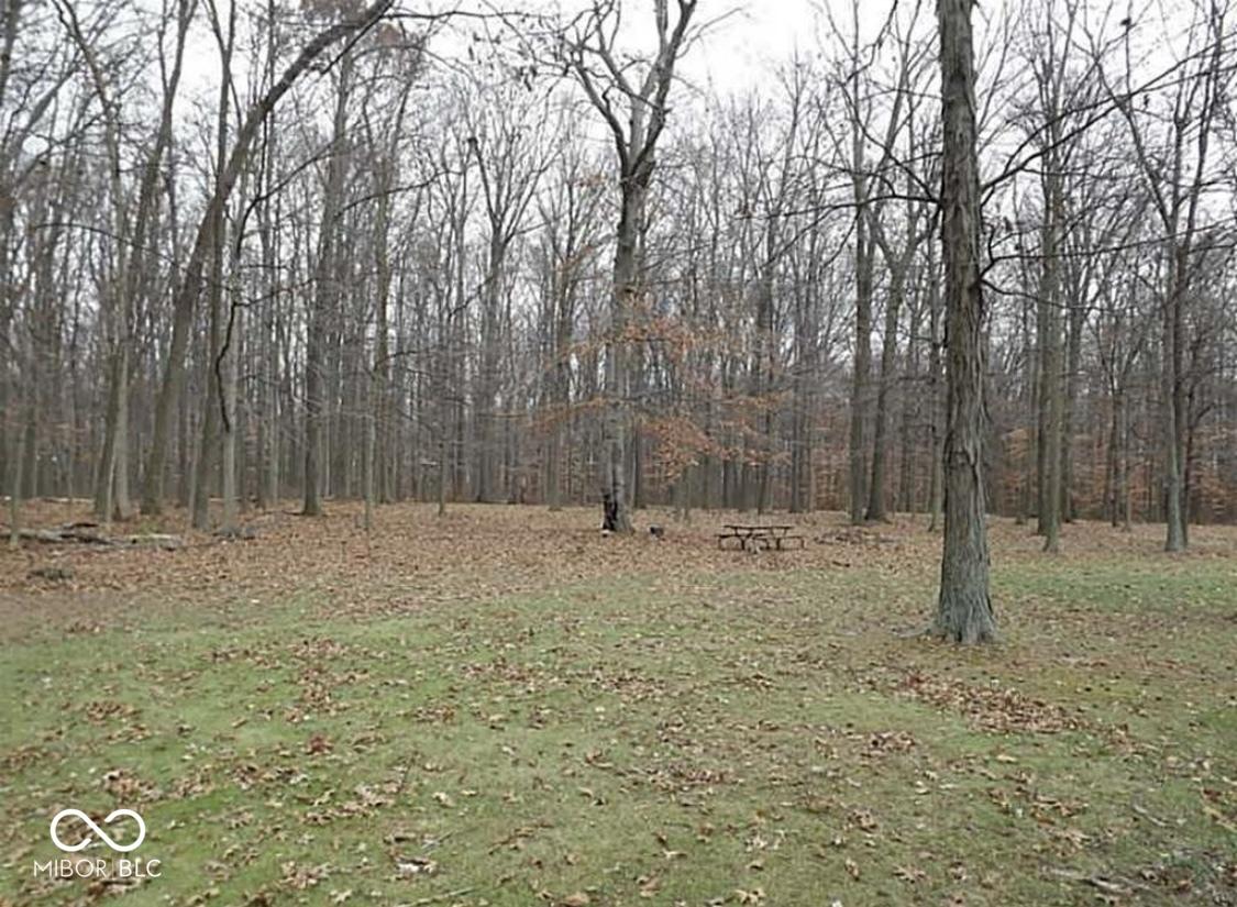 Photo #4