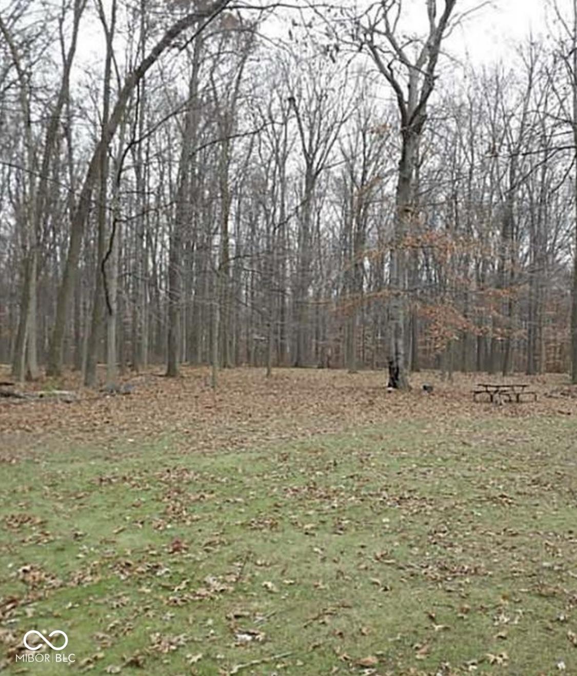 Photo #5