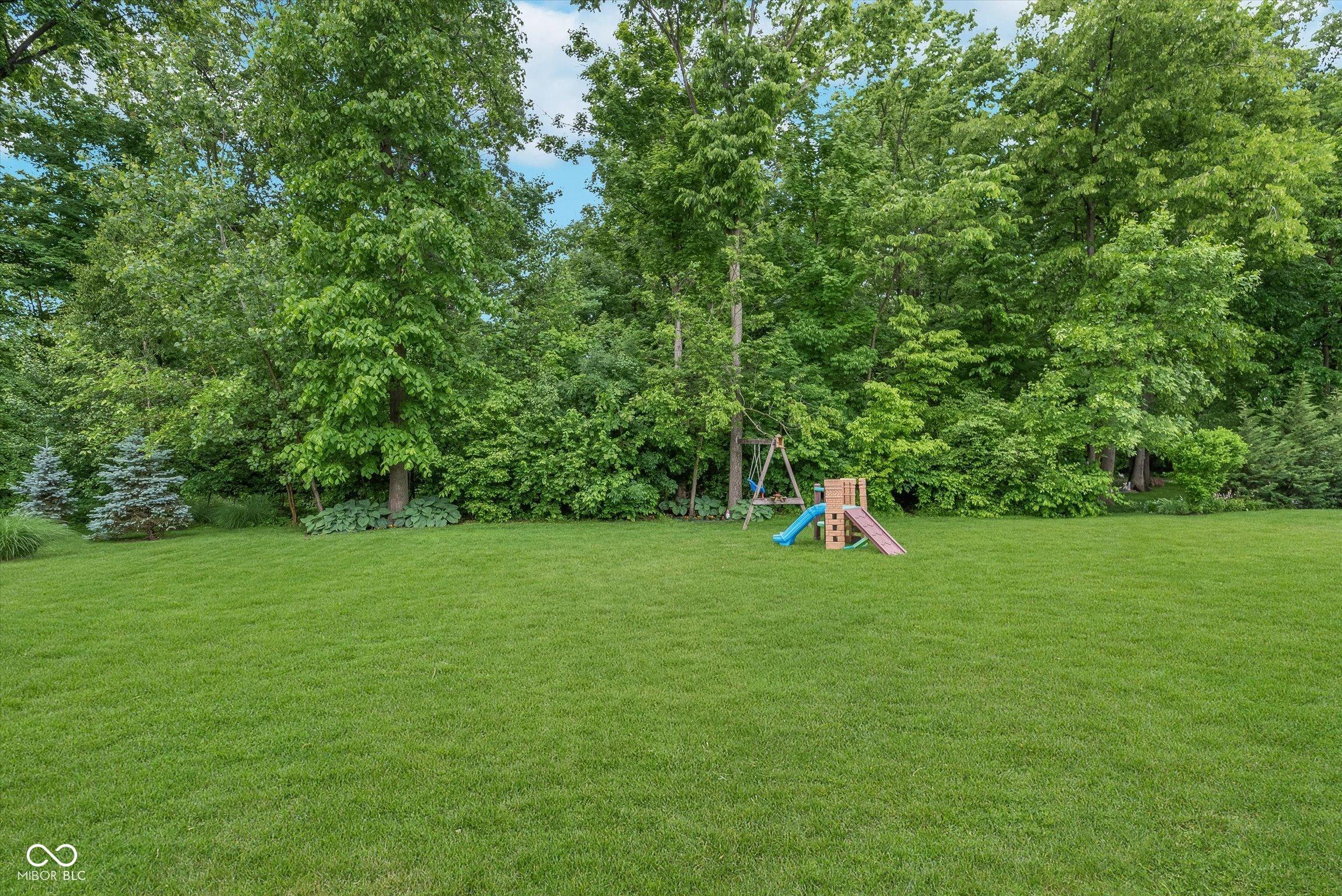 Photo #29