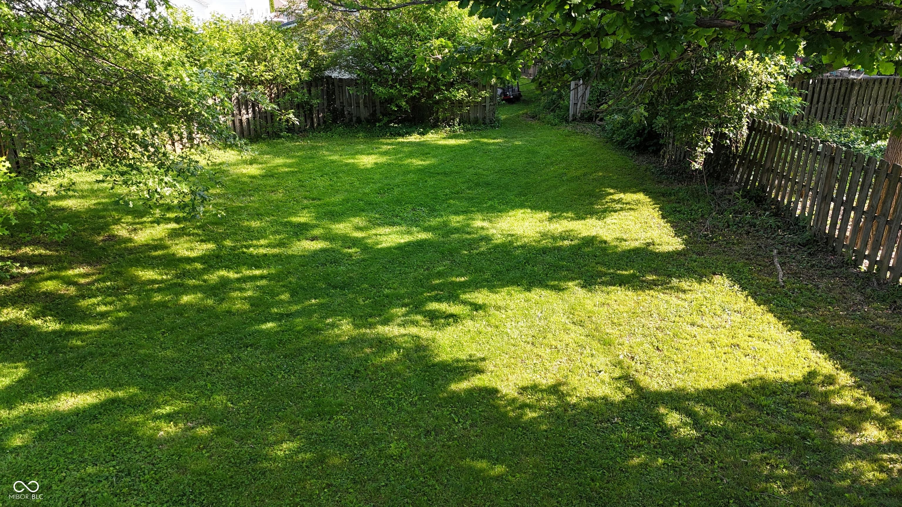 Photo #31