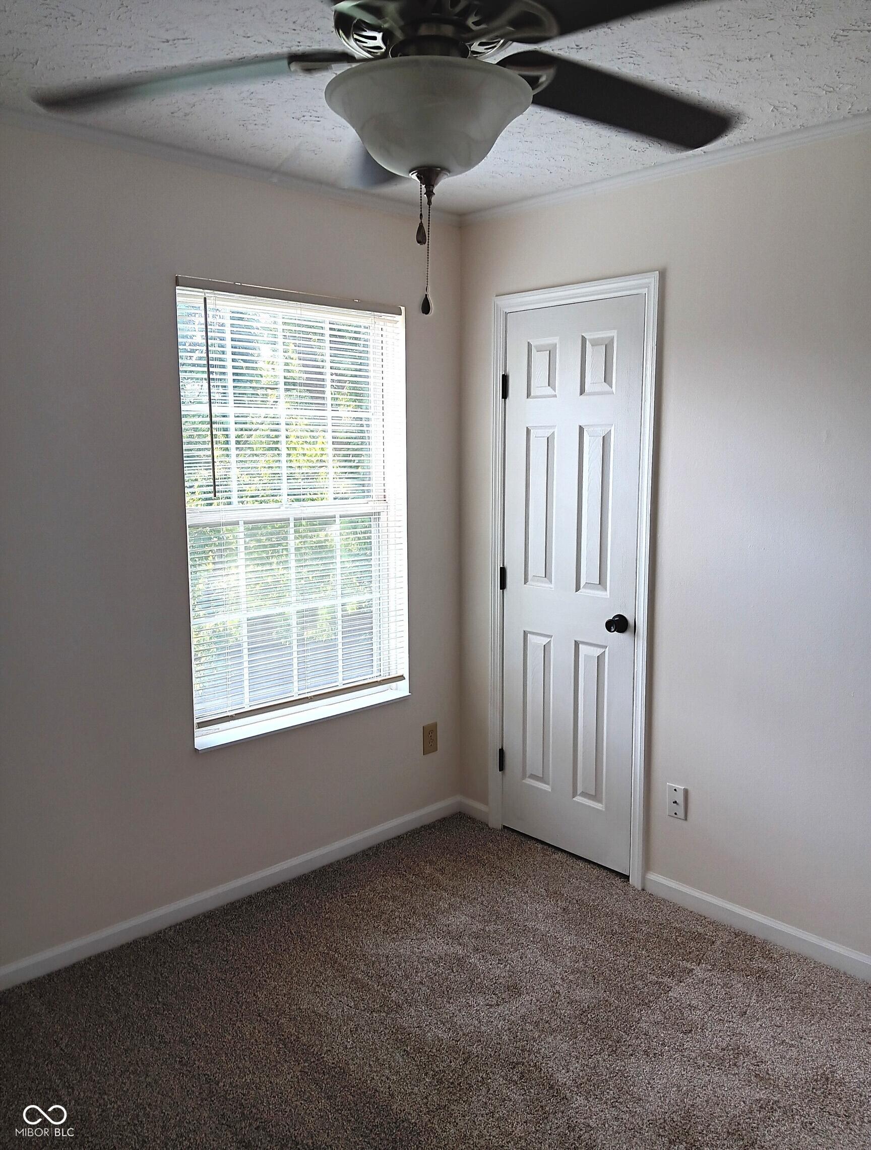 Photo #27