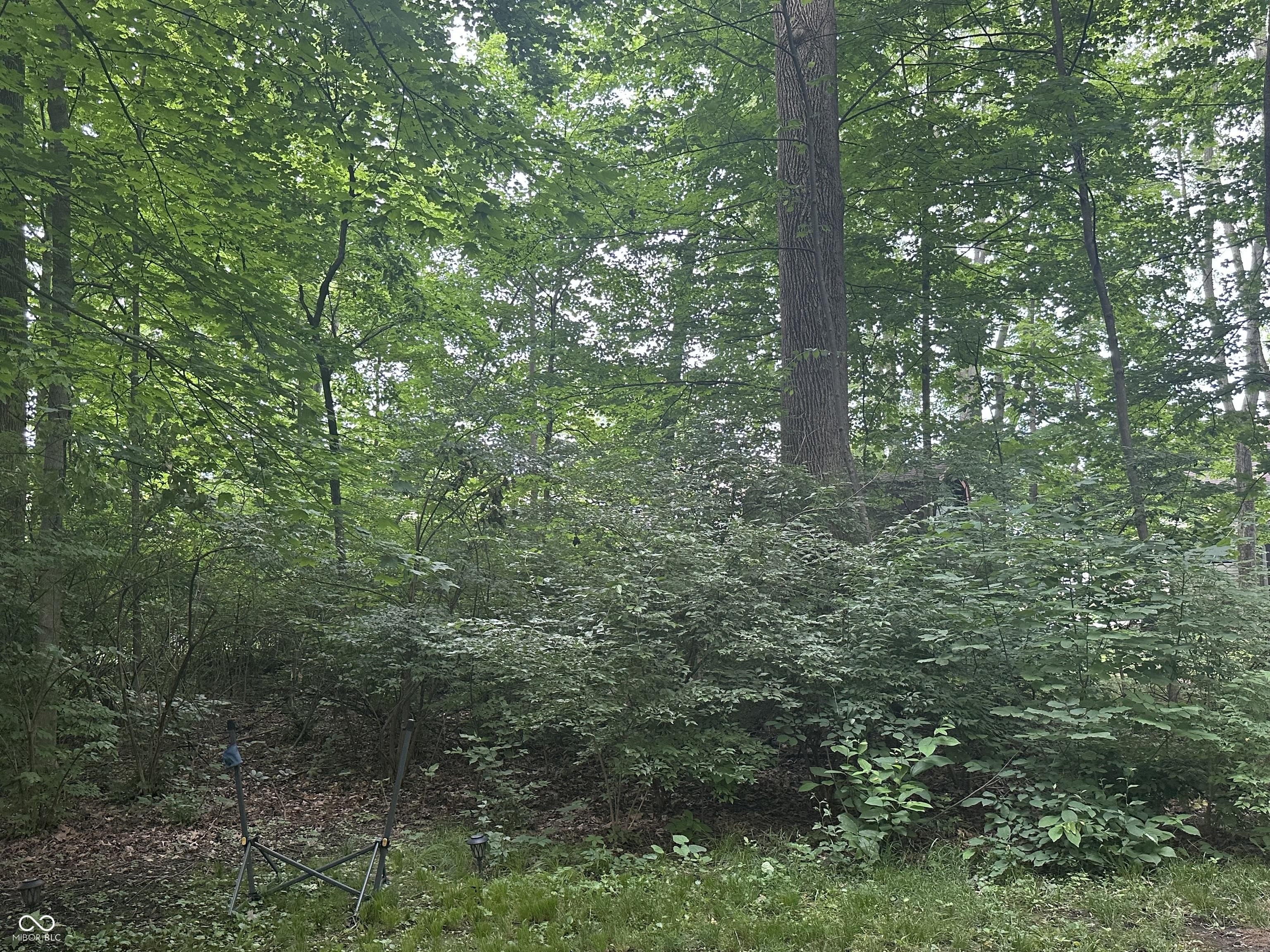 Photo #68