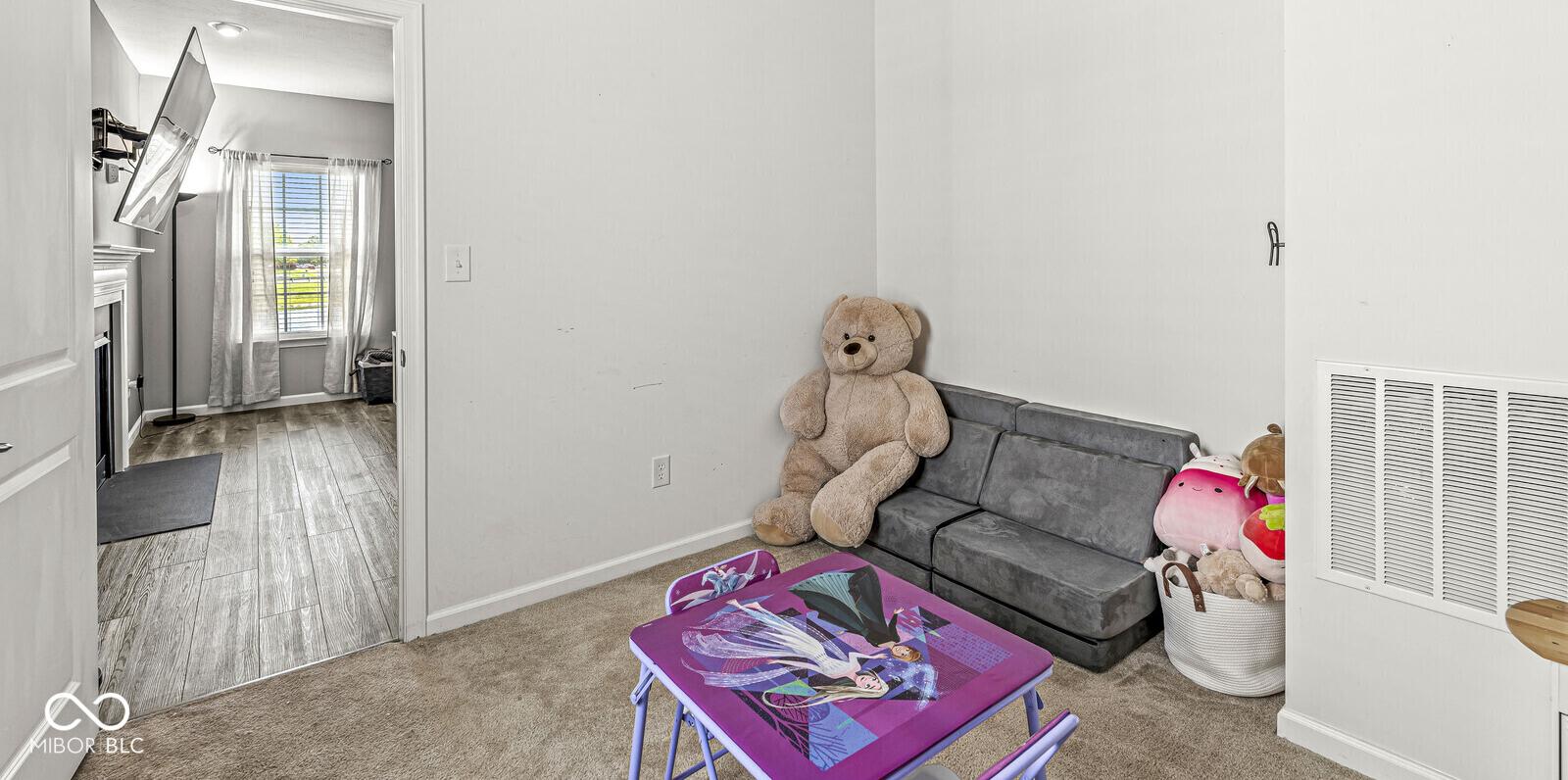 Photo #16