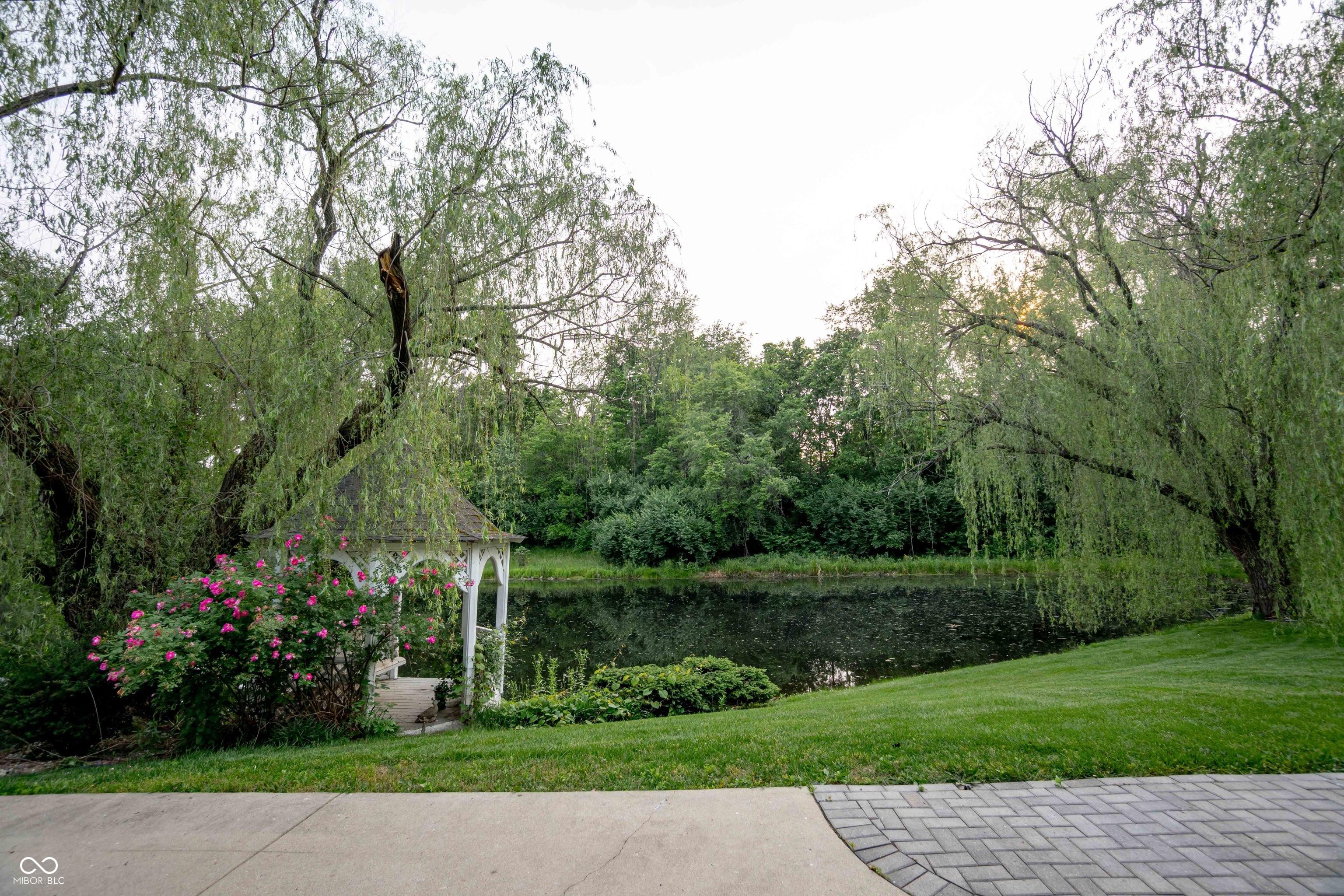 Photo #29