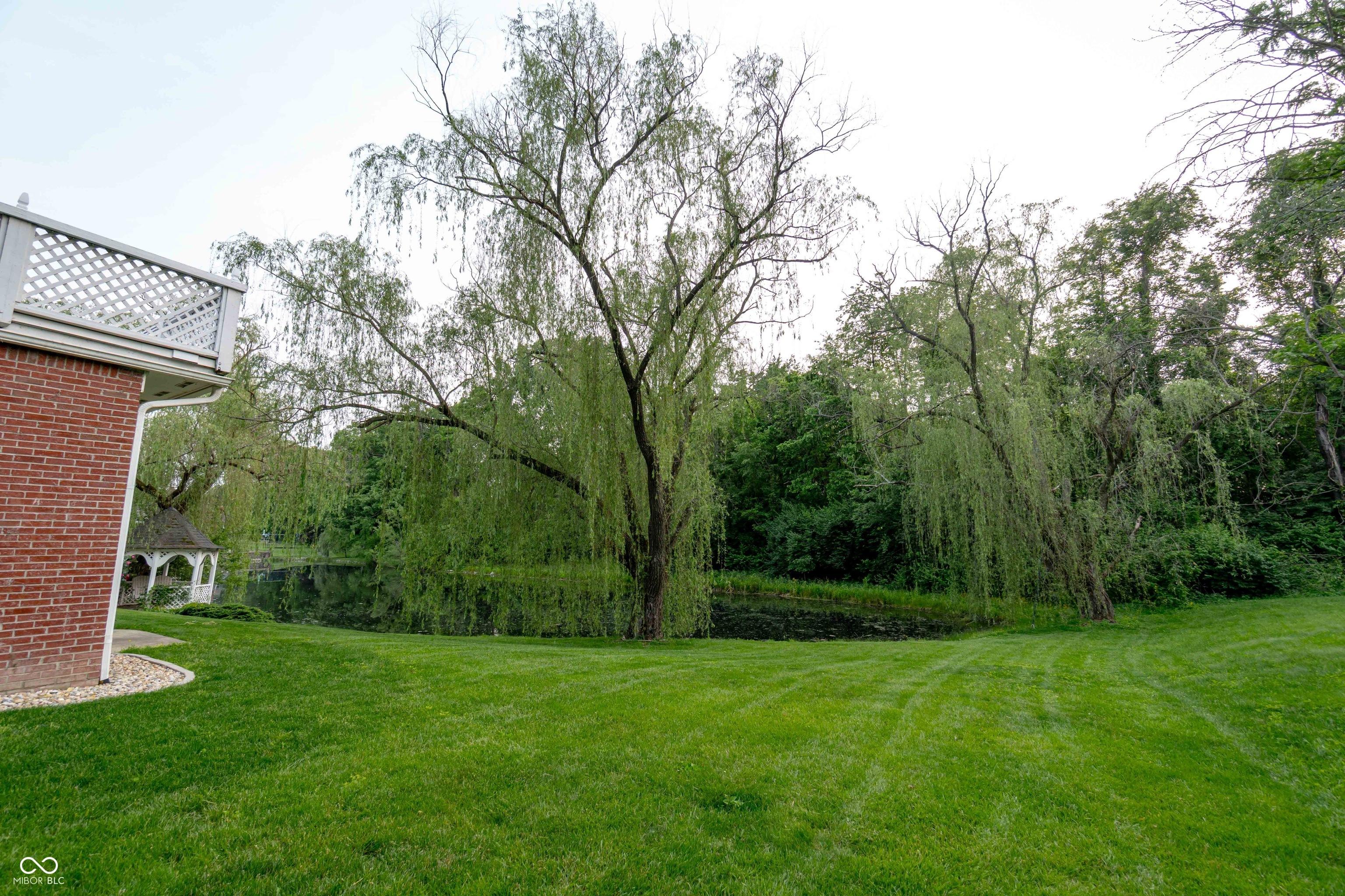 Photo #24
