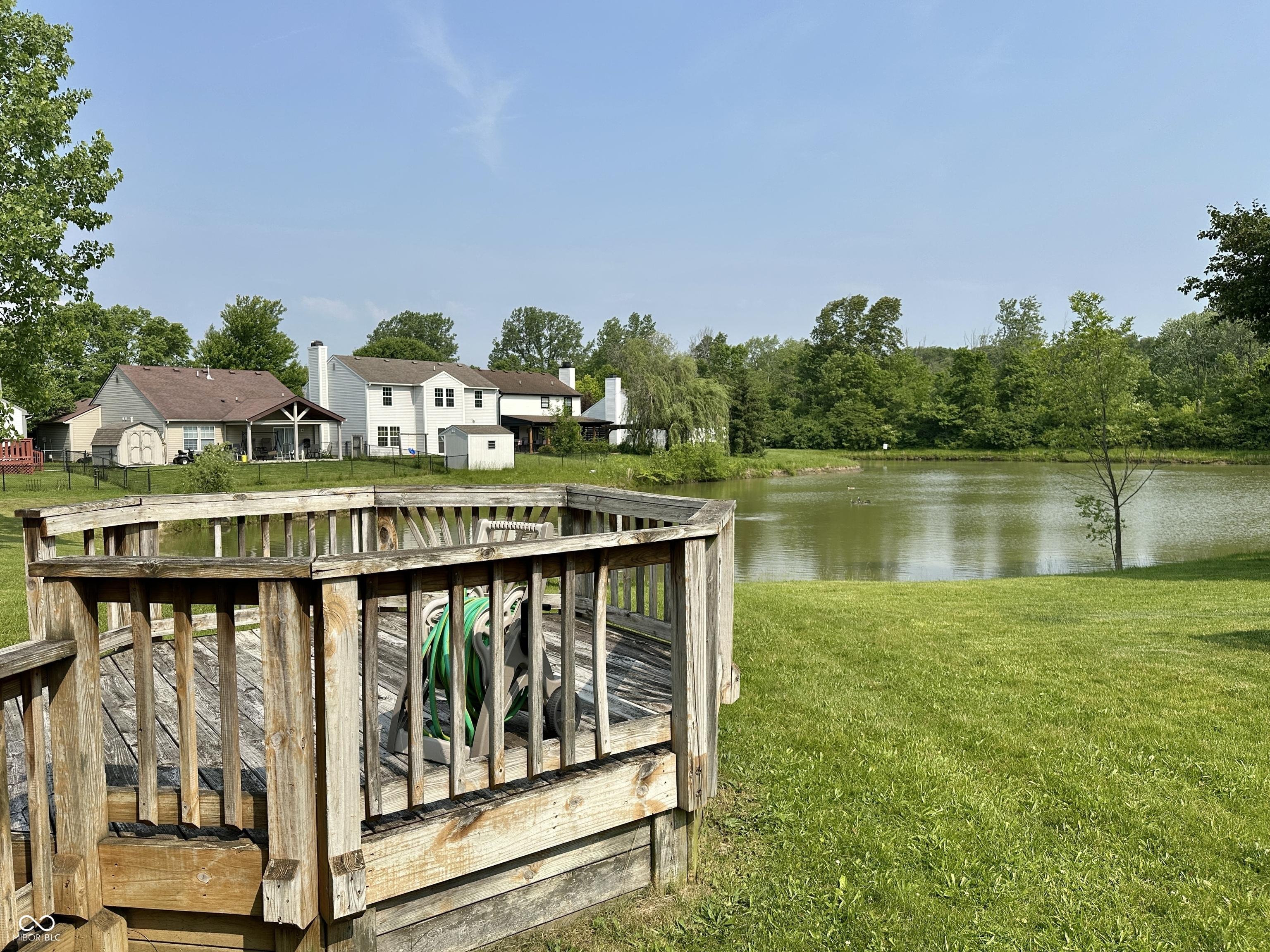 Photo #42
