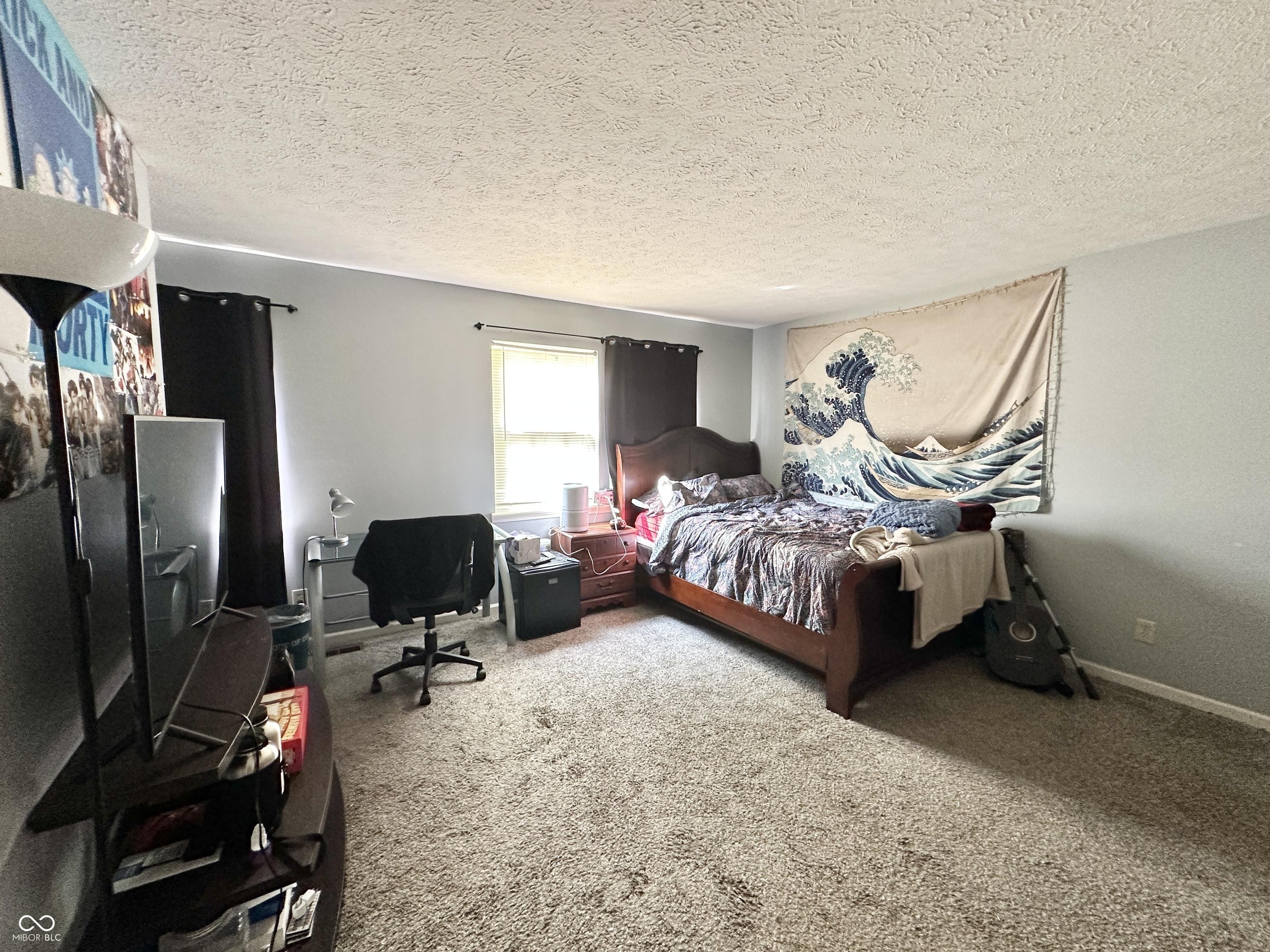 Photo #29
