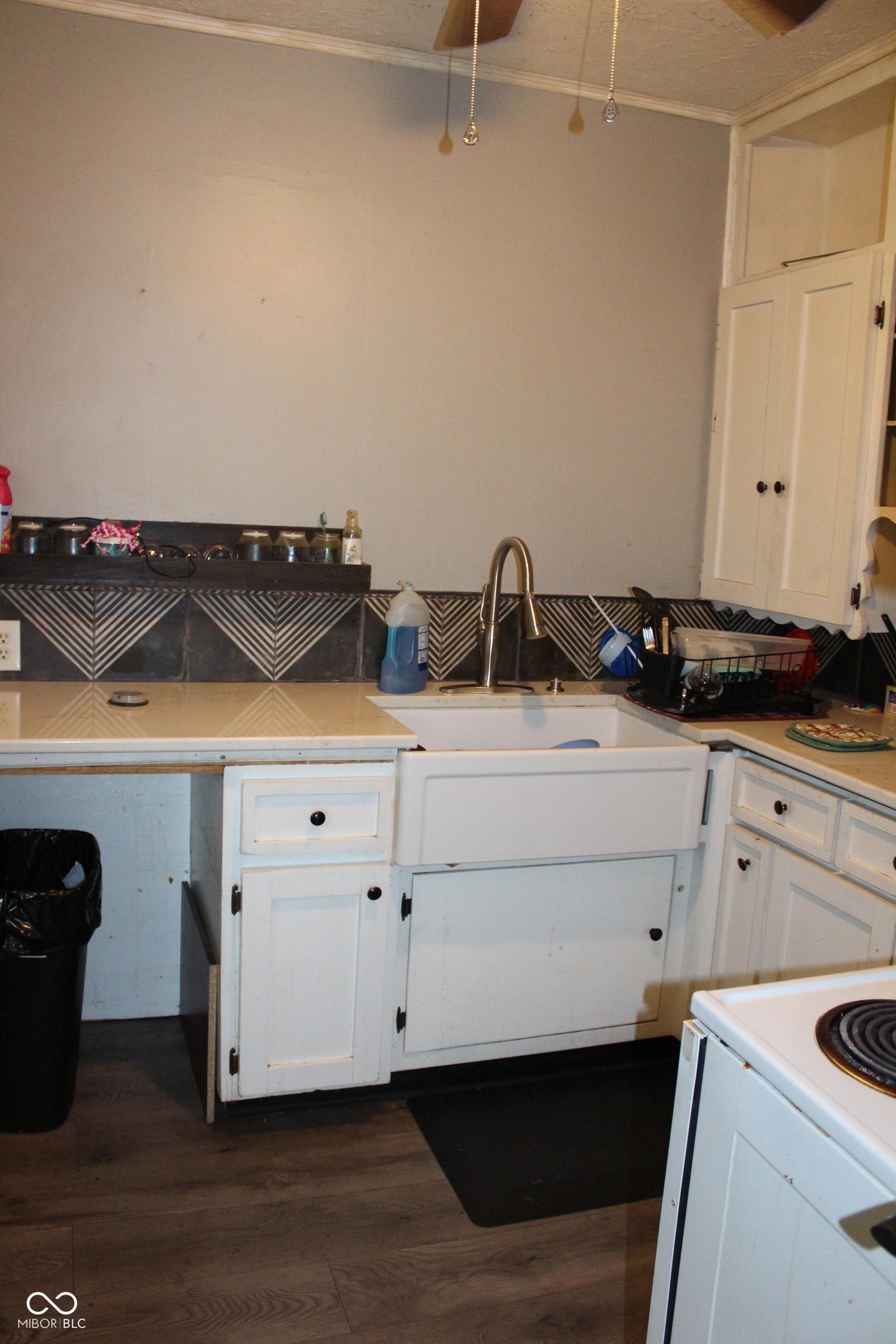 Photo #8