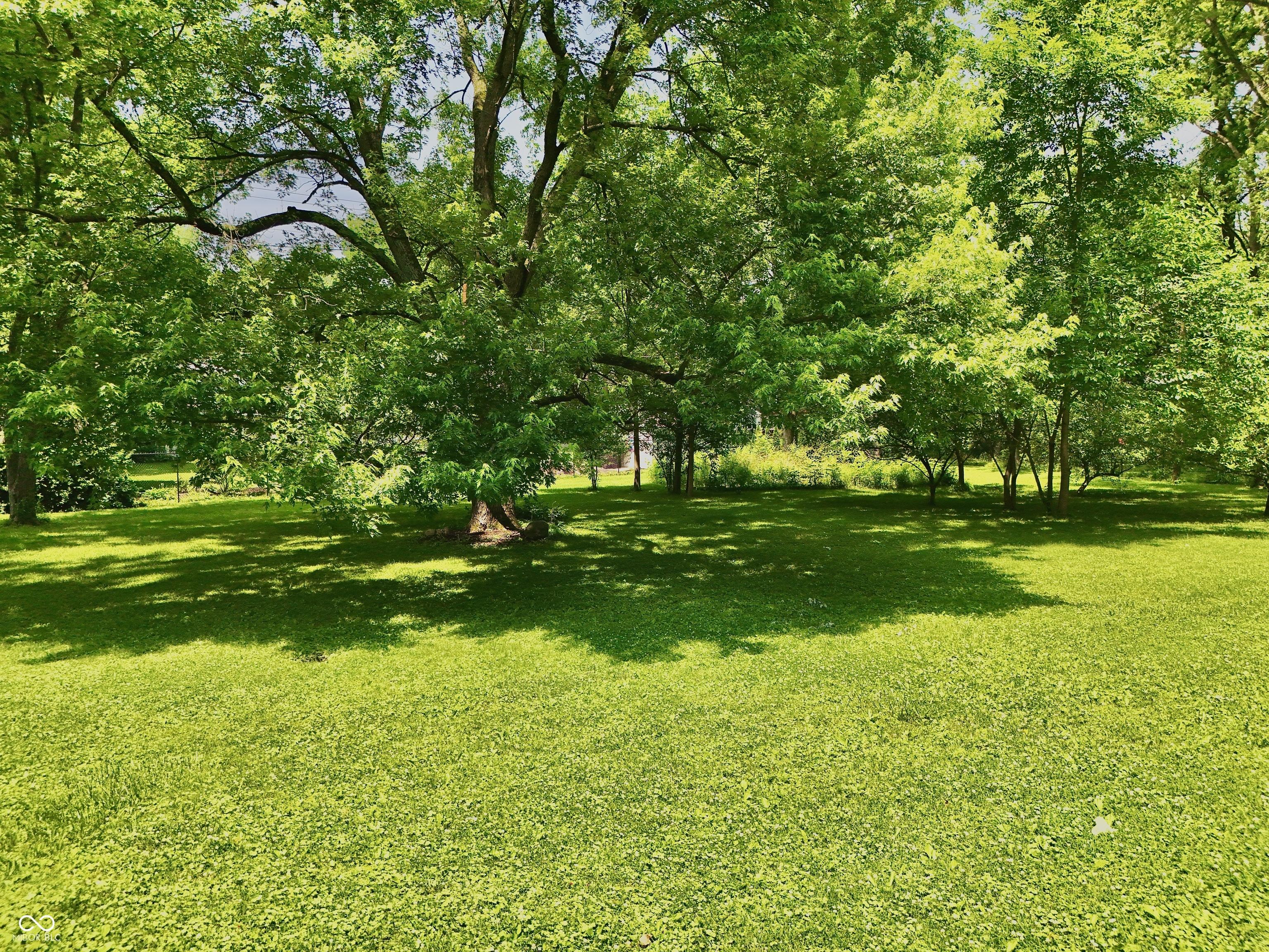 Photo #43