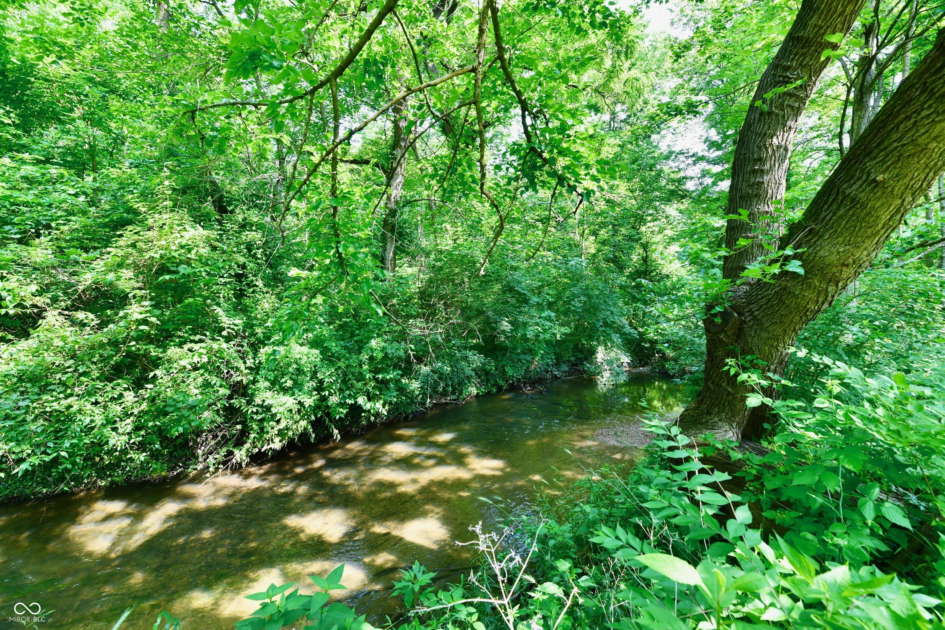 Photo #46