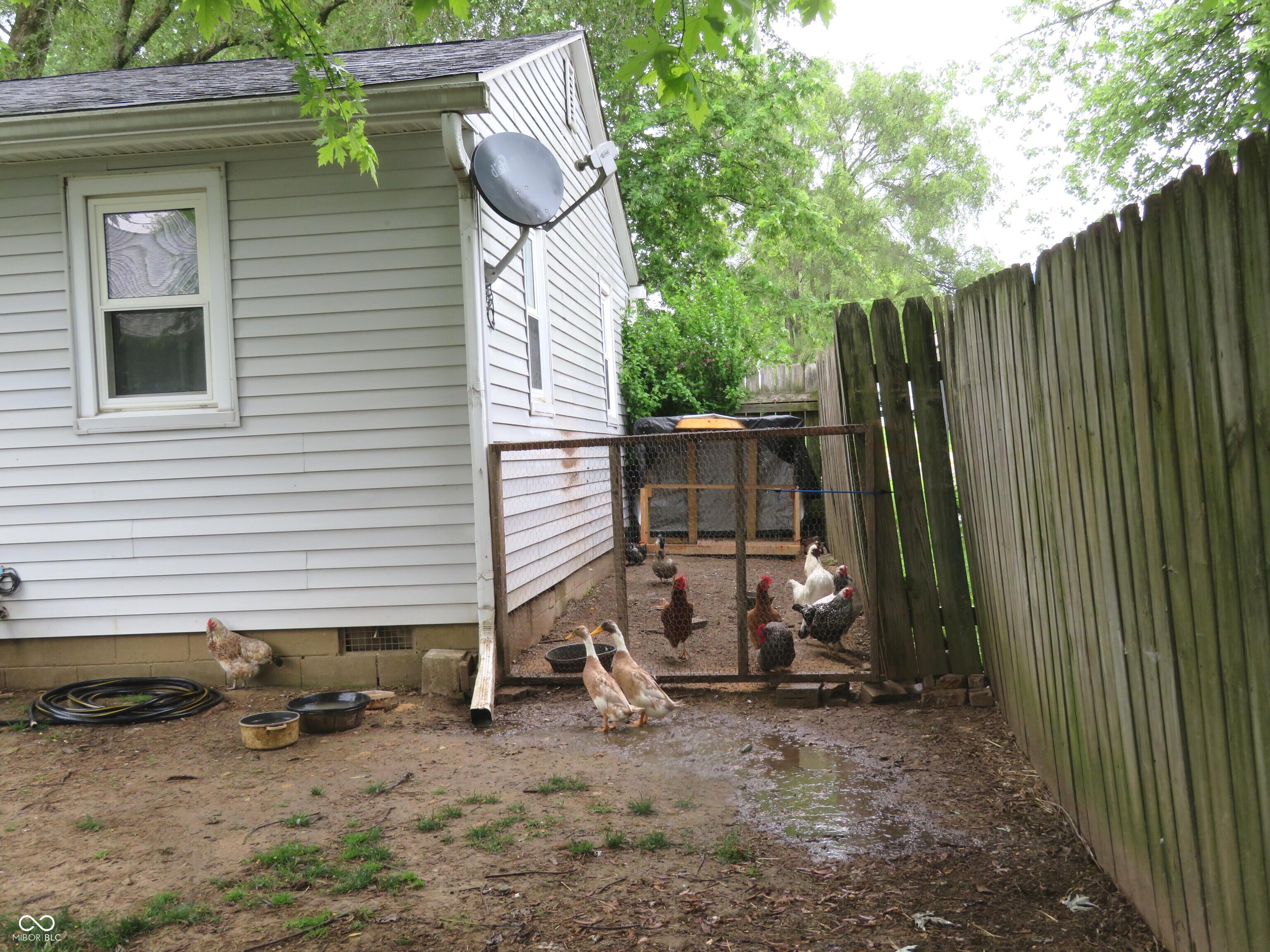Photo #30