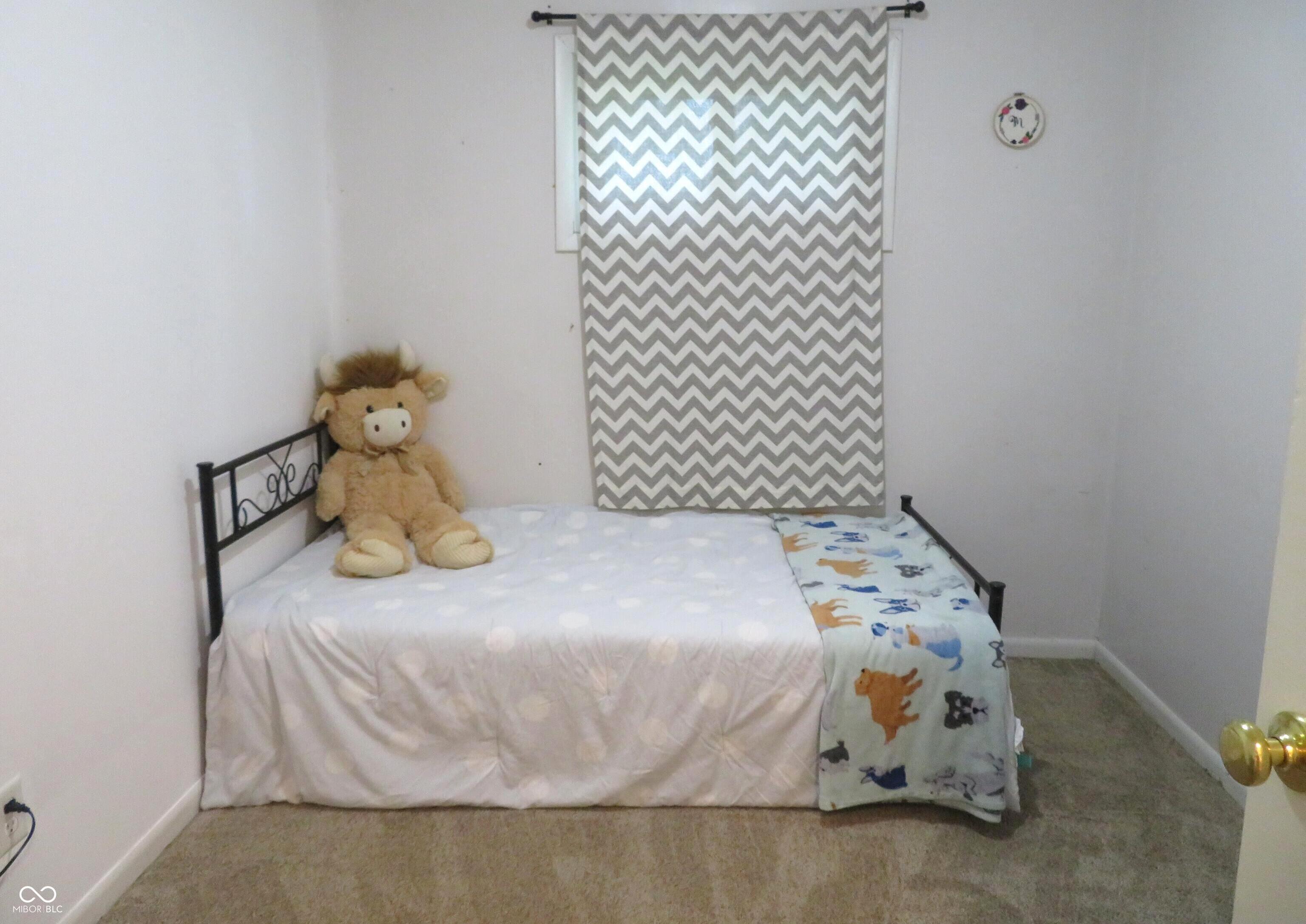 Photo #12