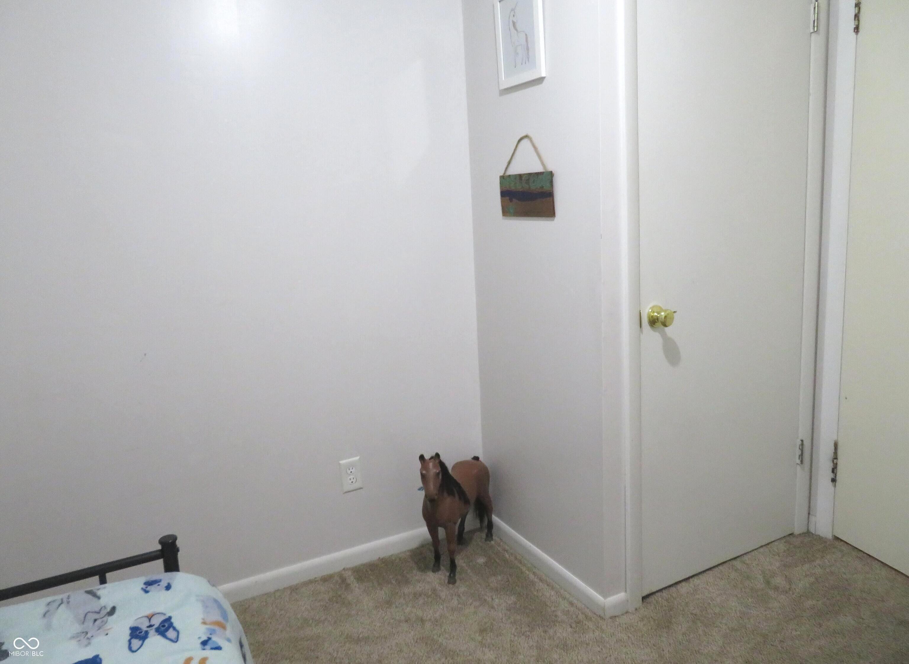 Photo #14