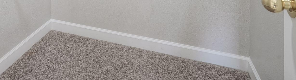 Photo #21