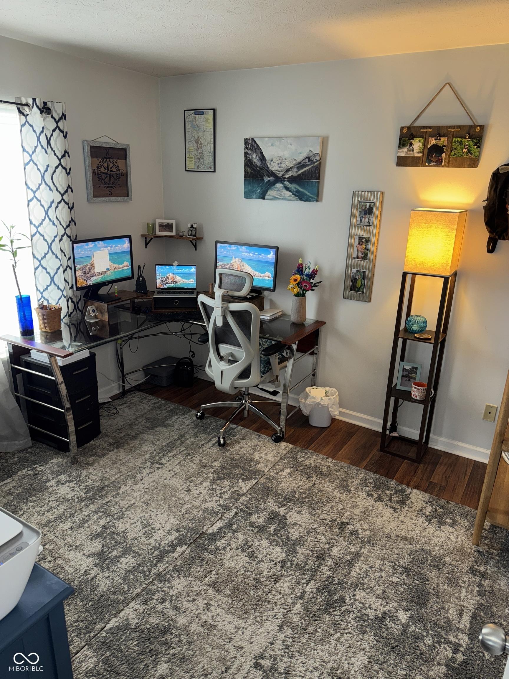 Photo #11