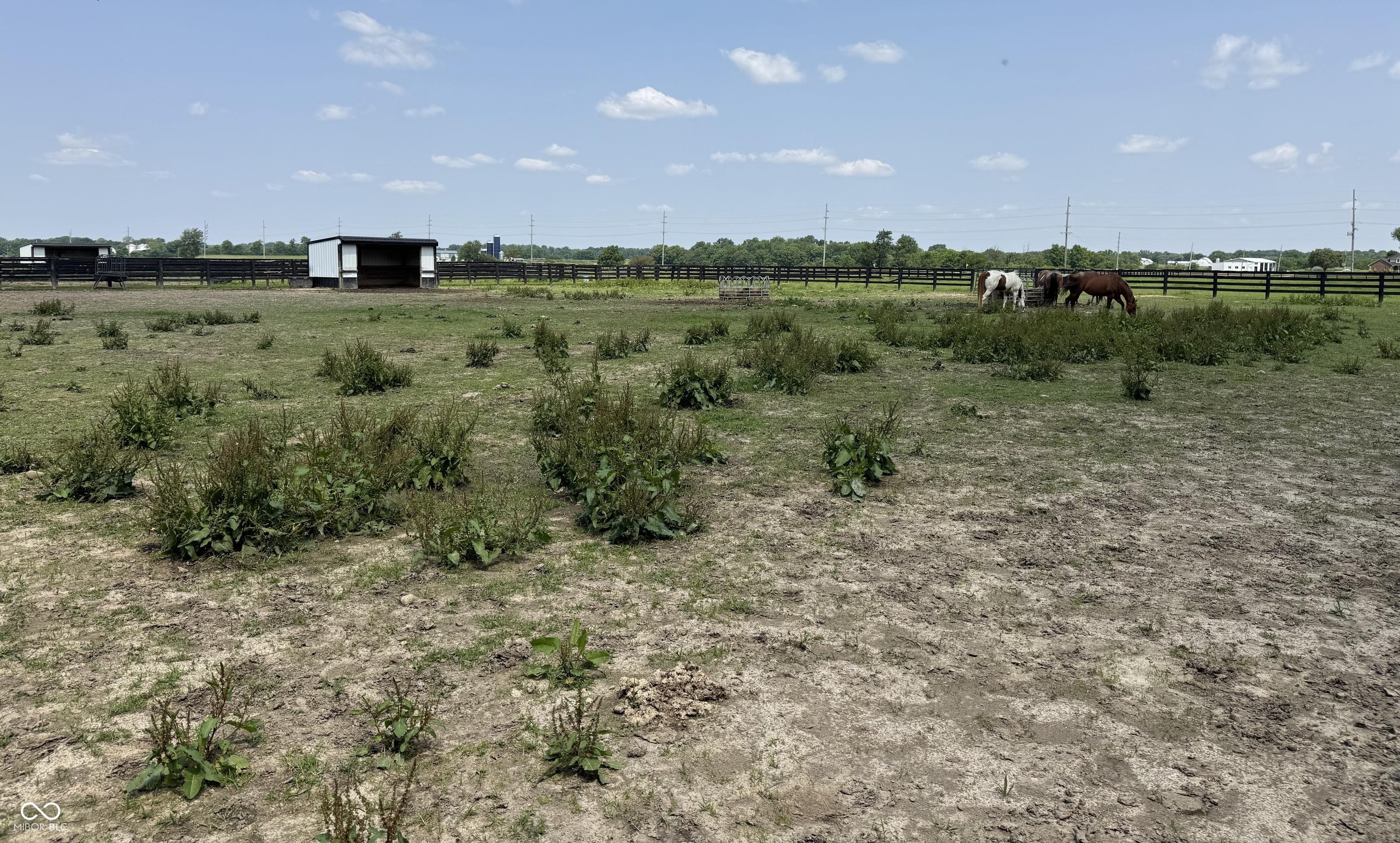 Photo #36