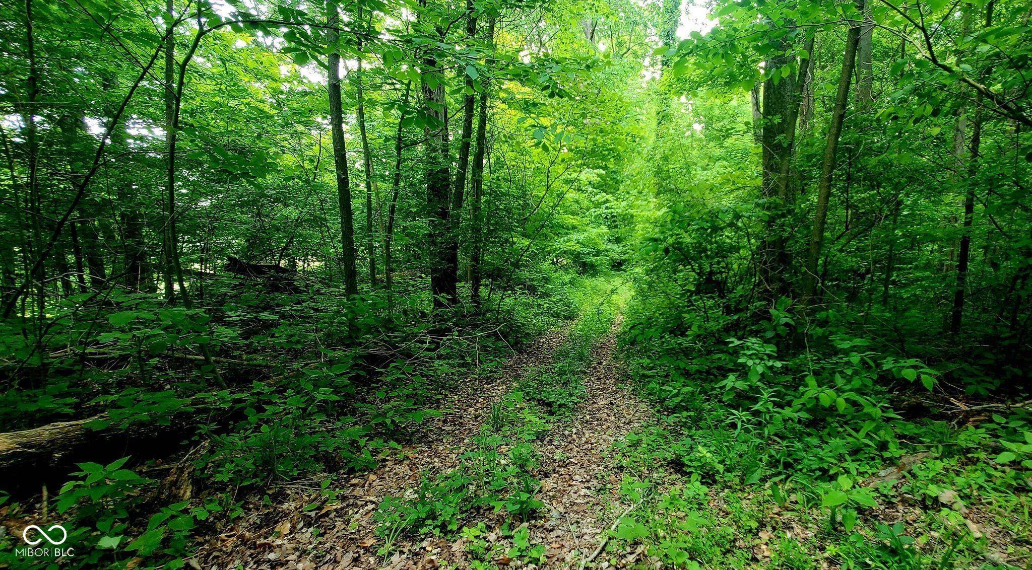 Photo #41