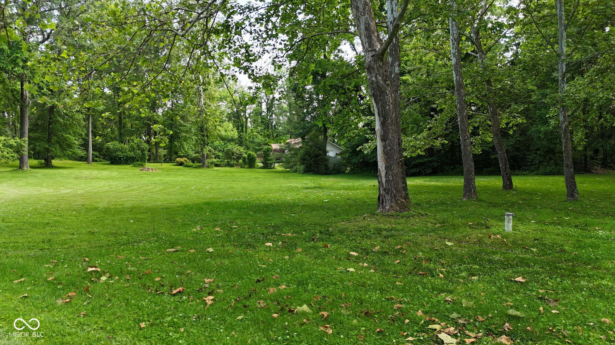 Photo #34