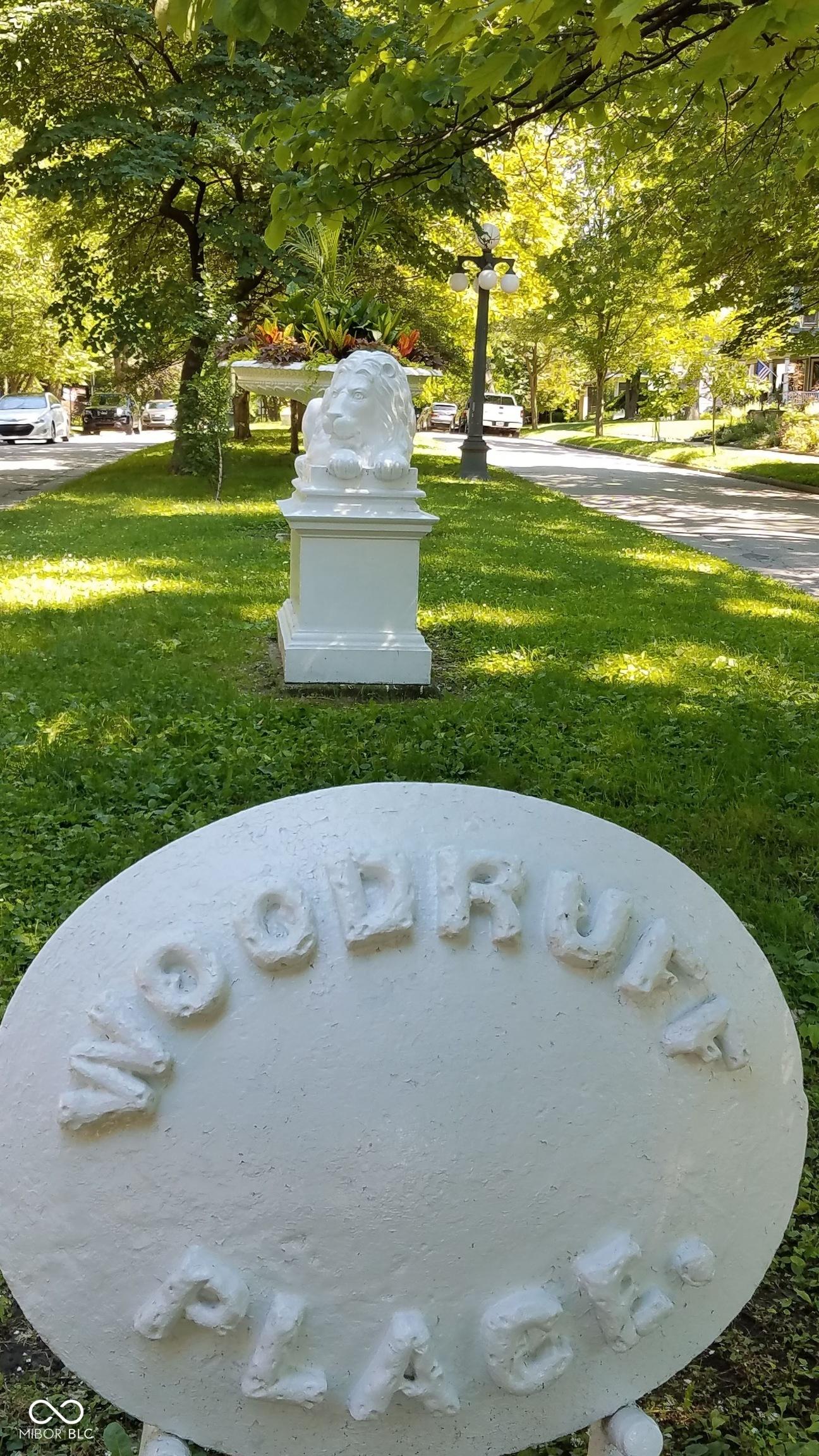 Photo #34