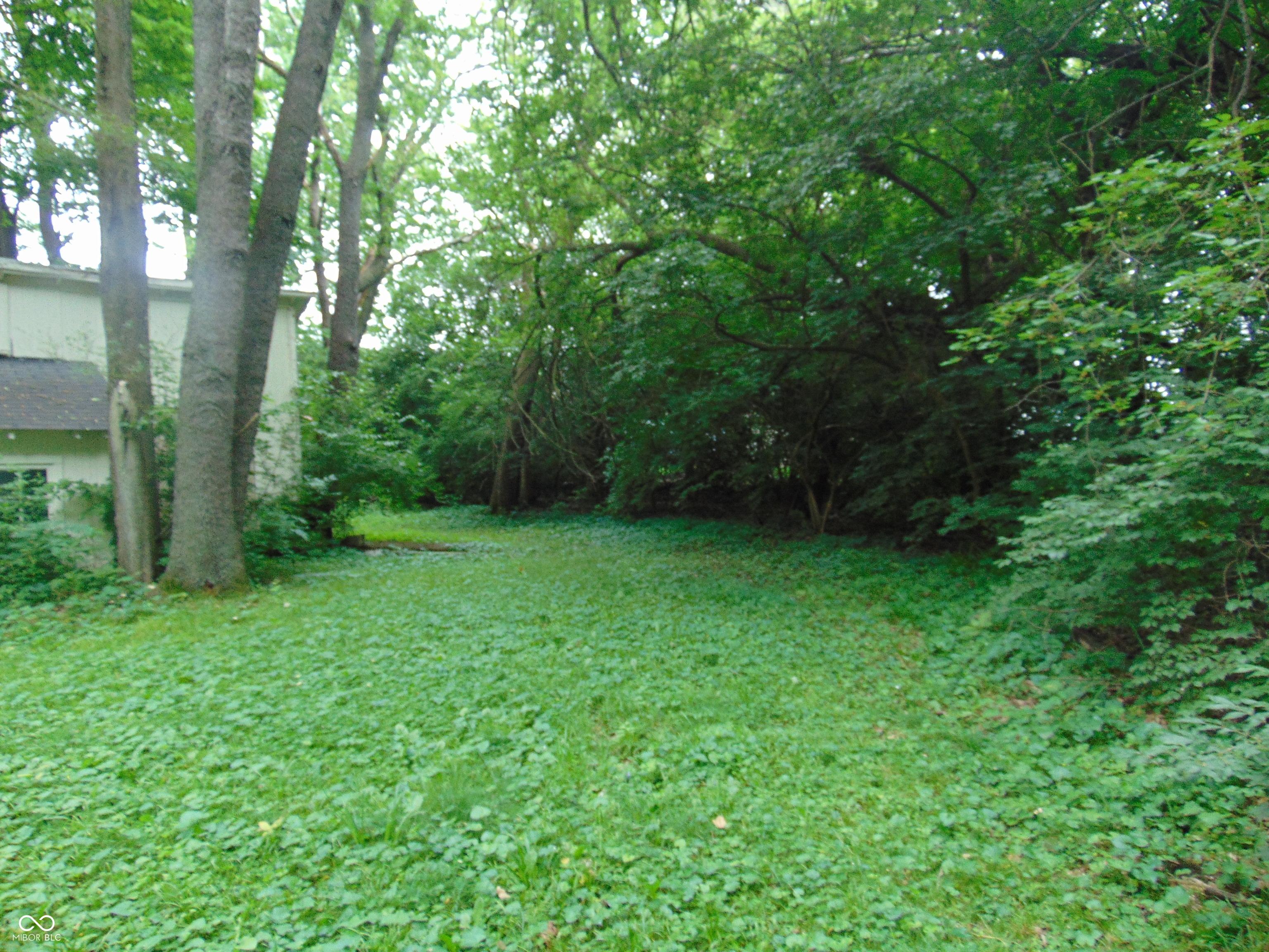 Photo #8