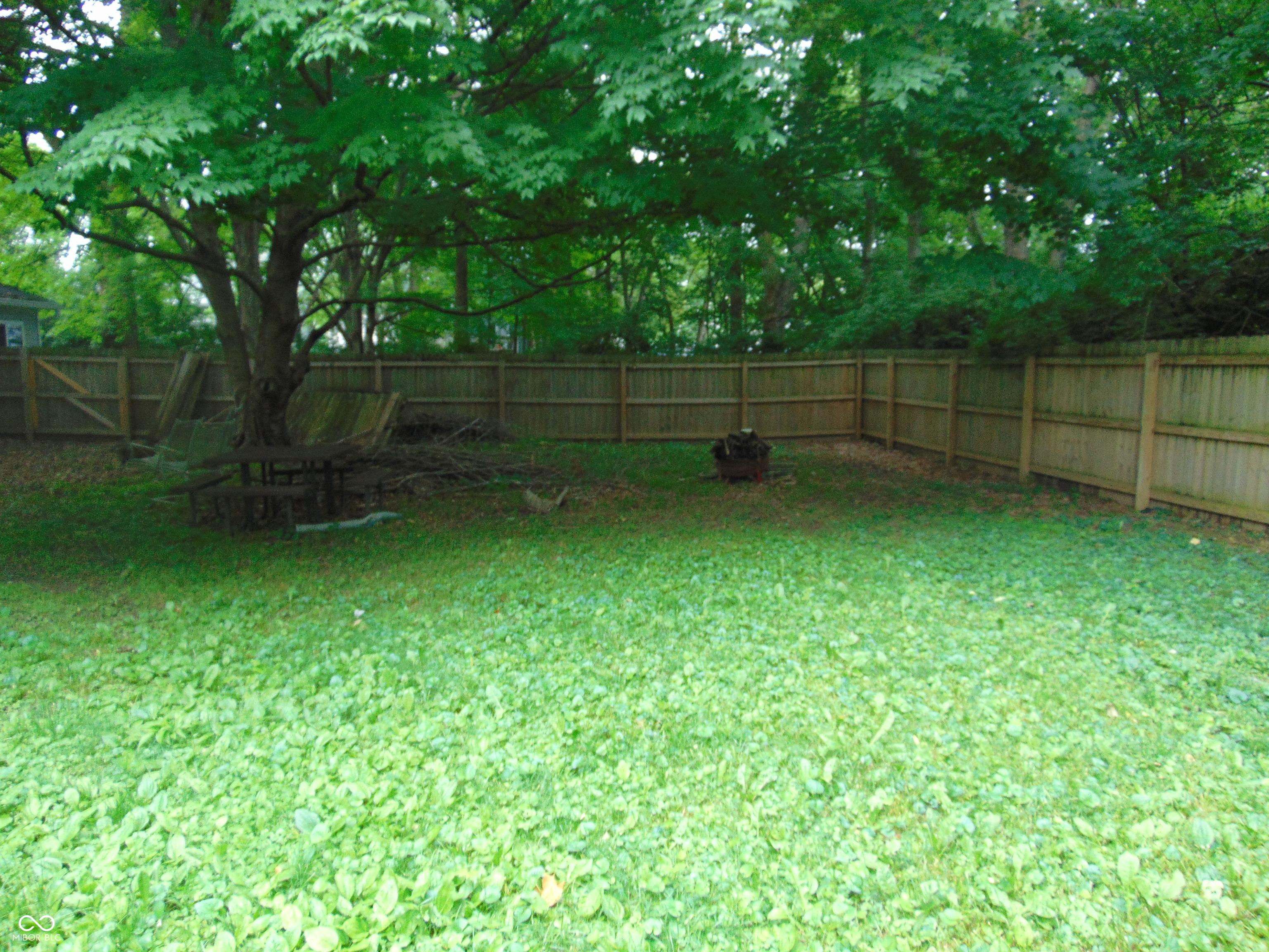 Photo #6