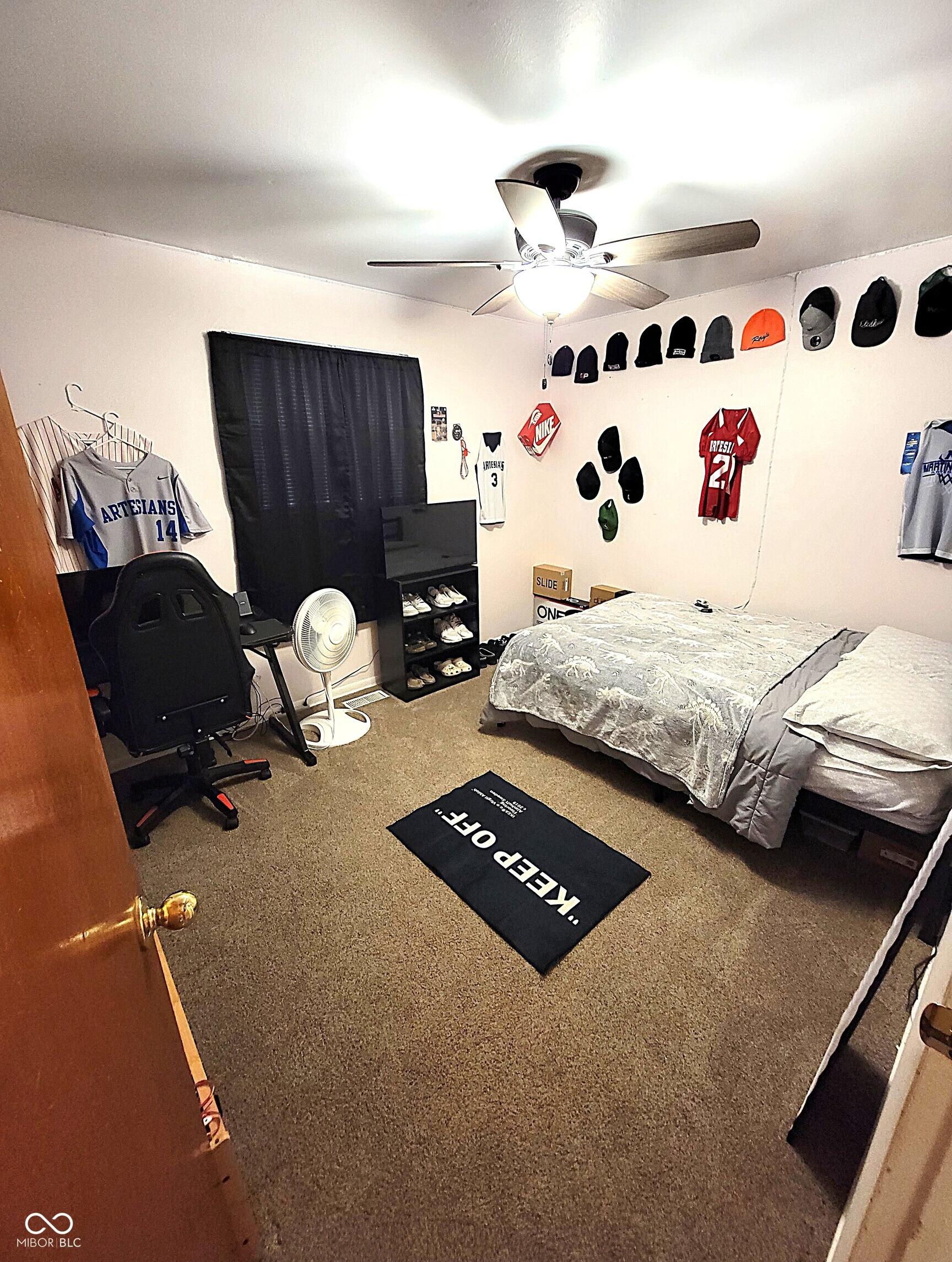 Photo #15