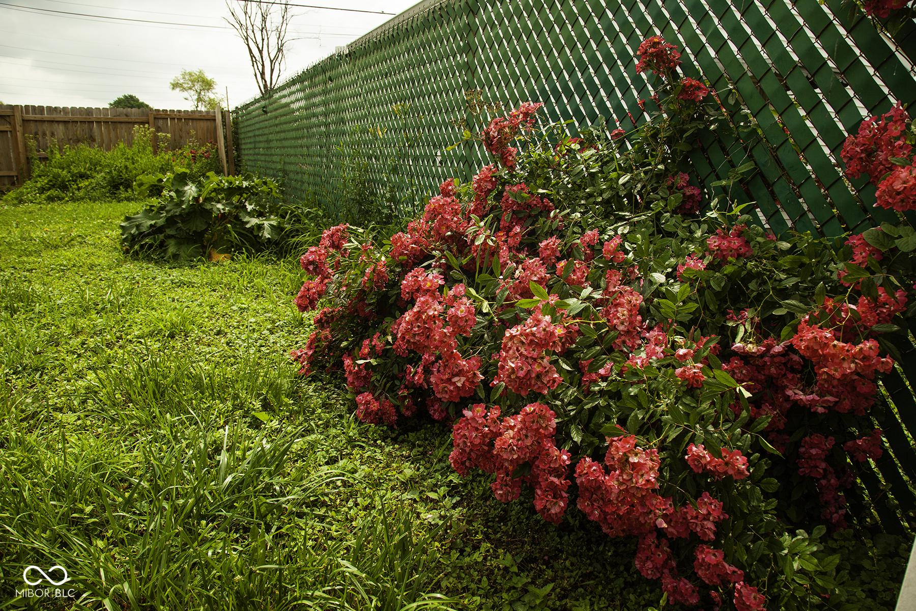 Photo #28