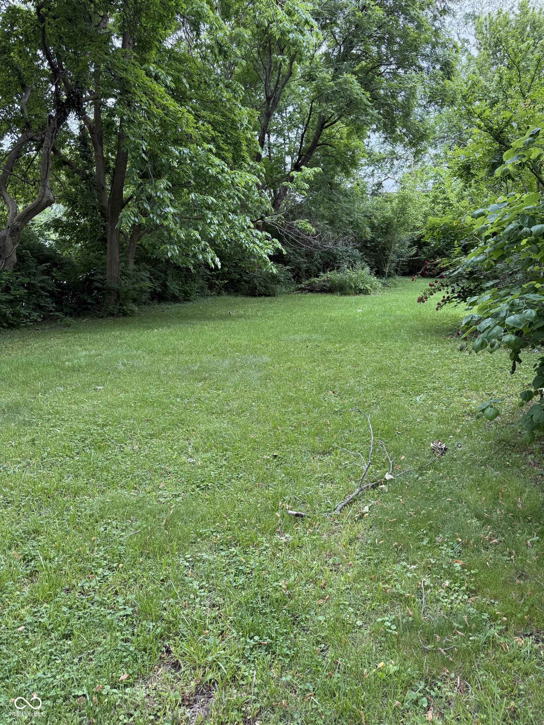 Photo #3