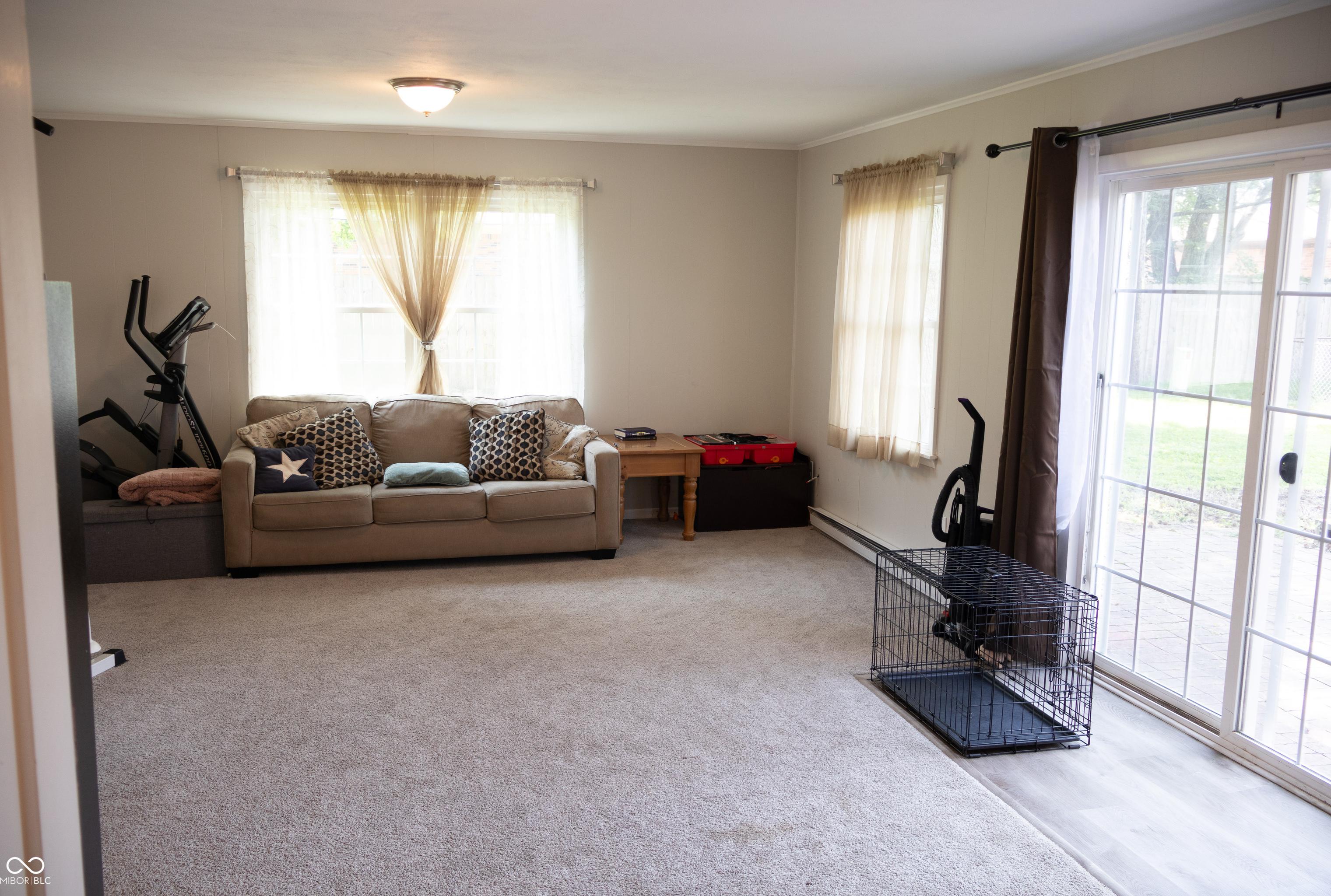 Photo #8