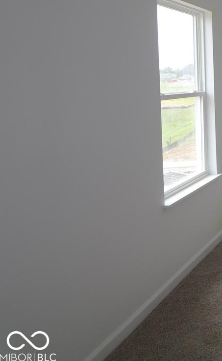 Photo #12