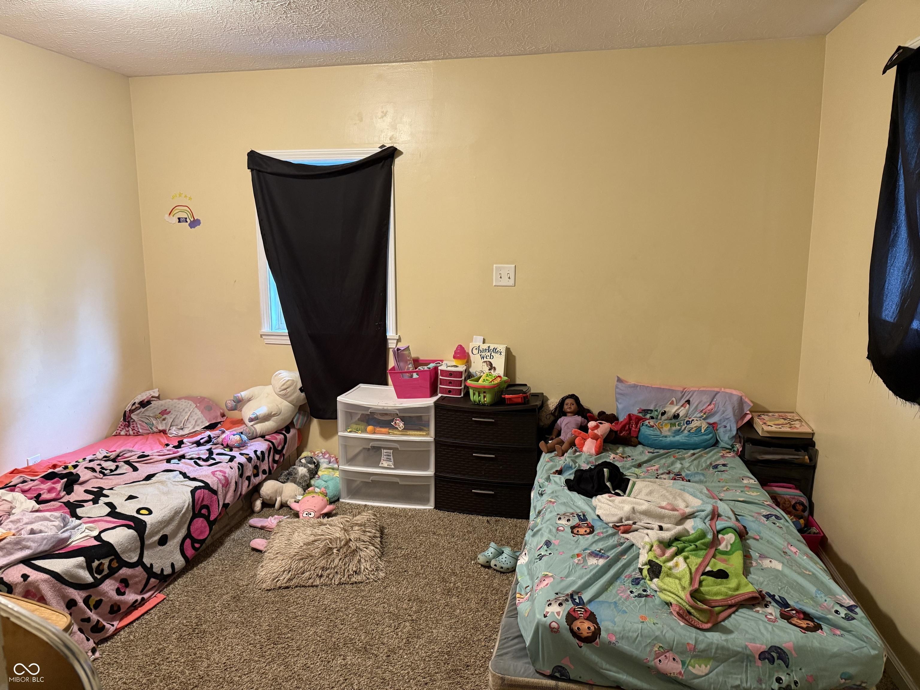 Photo #14